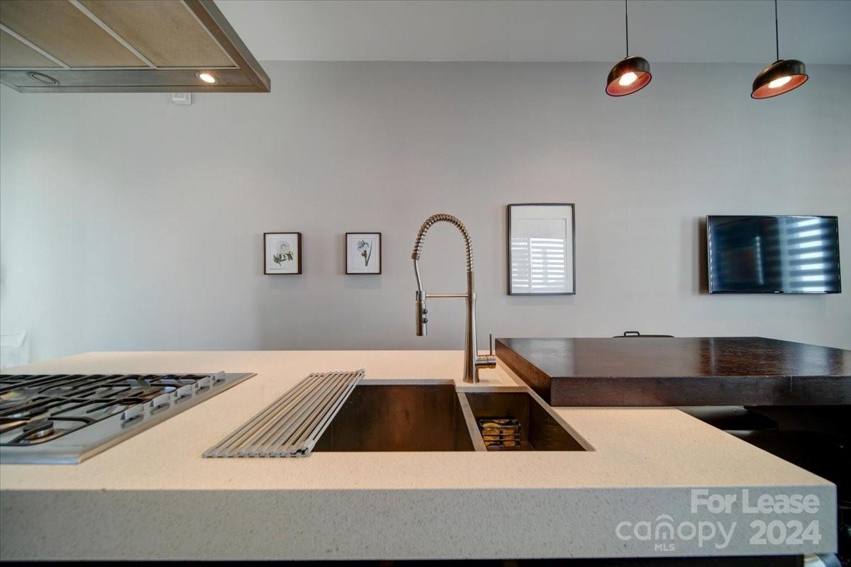 329 Viburnum Way Court Property Photo 7