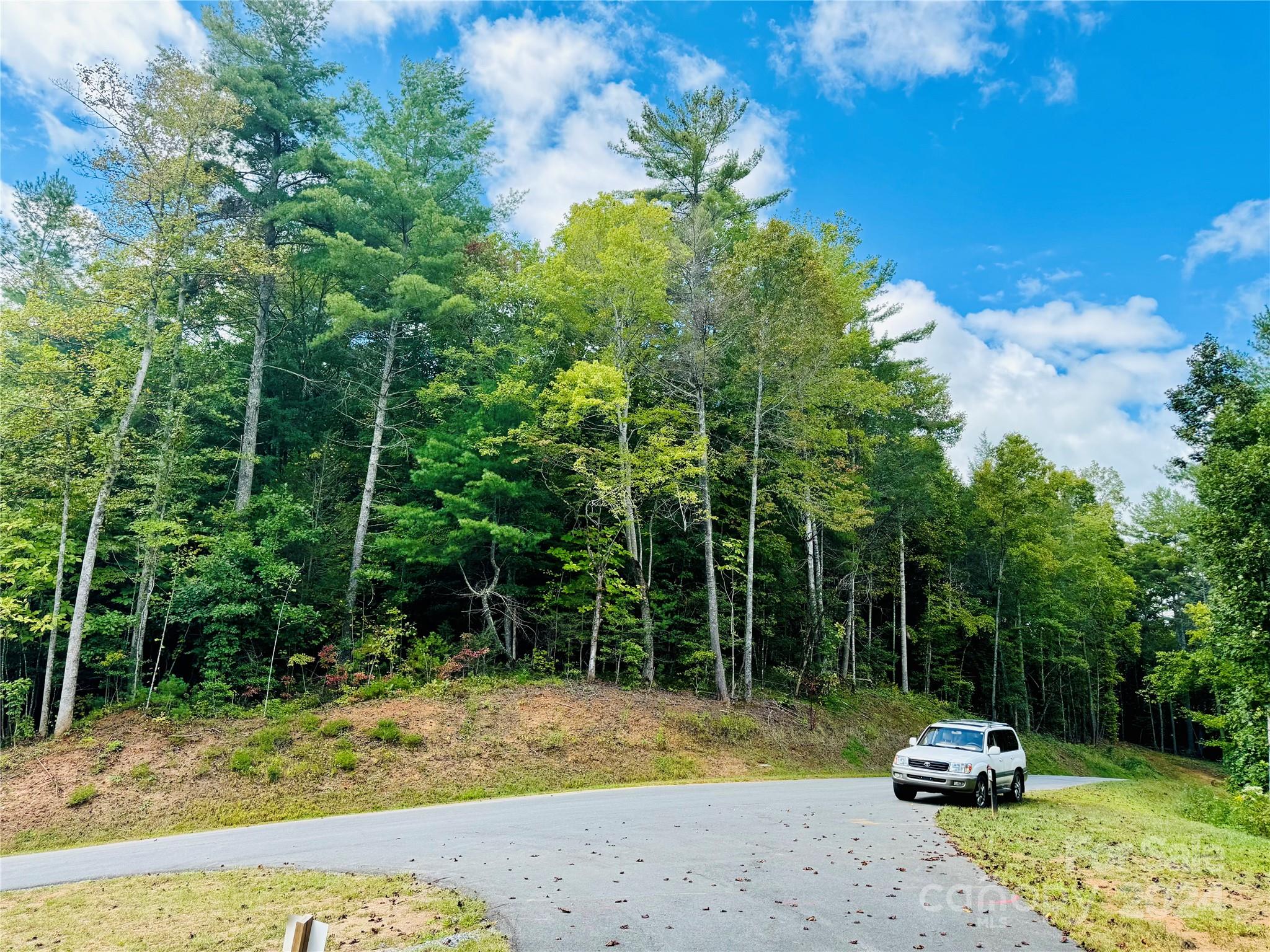 10.21 Acres 1981 Round Mountain Parkway Lot 90 Property Photo