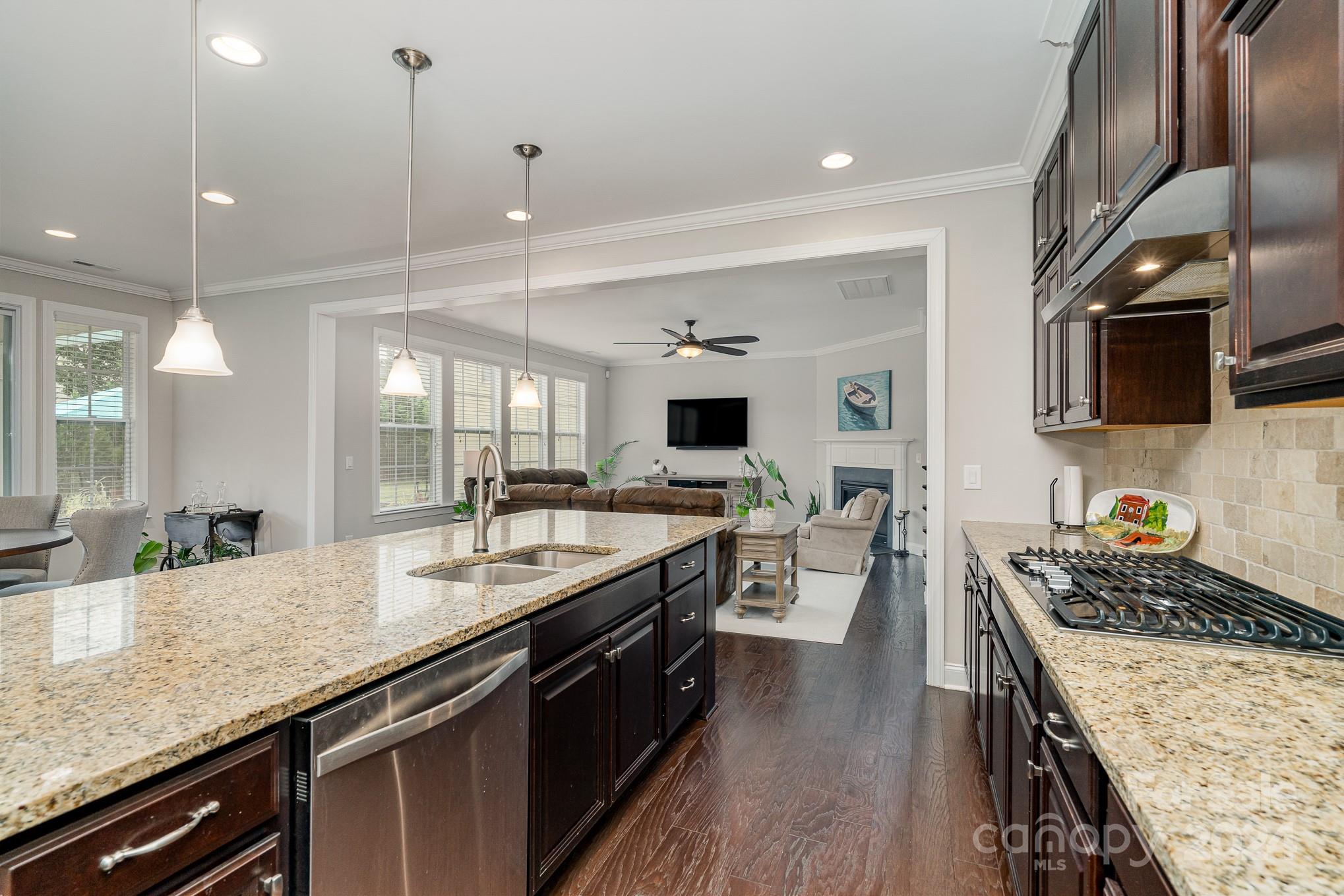 15417 Cimarron Hills Lane Property Photo 10