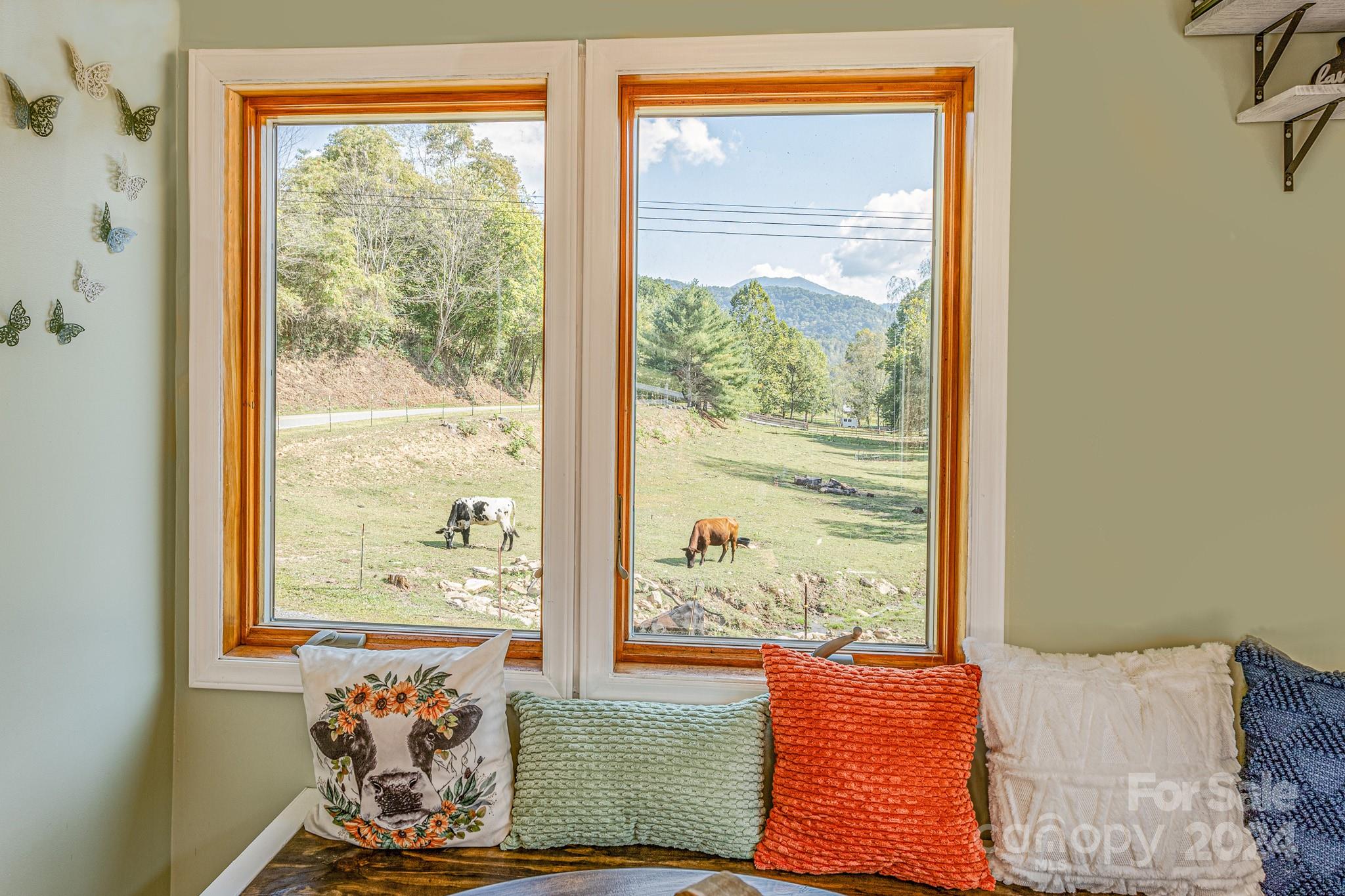 2906 Rabbit Skin Road Property Photo 9