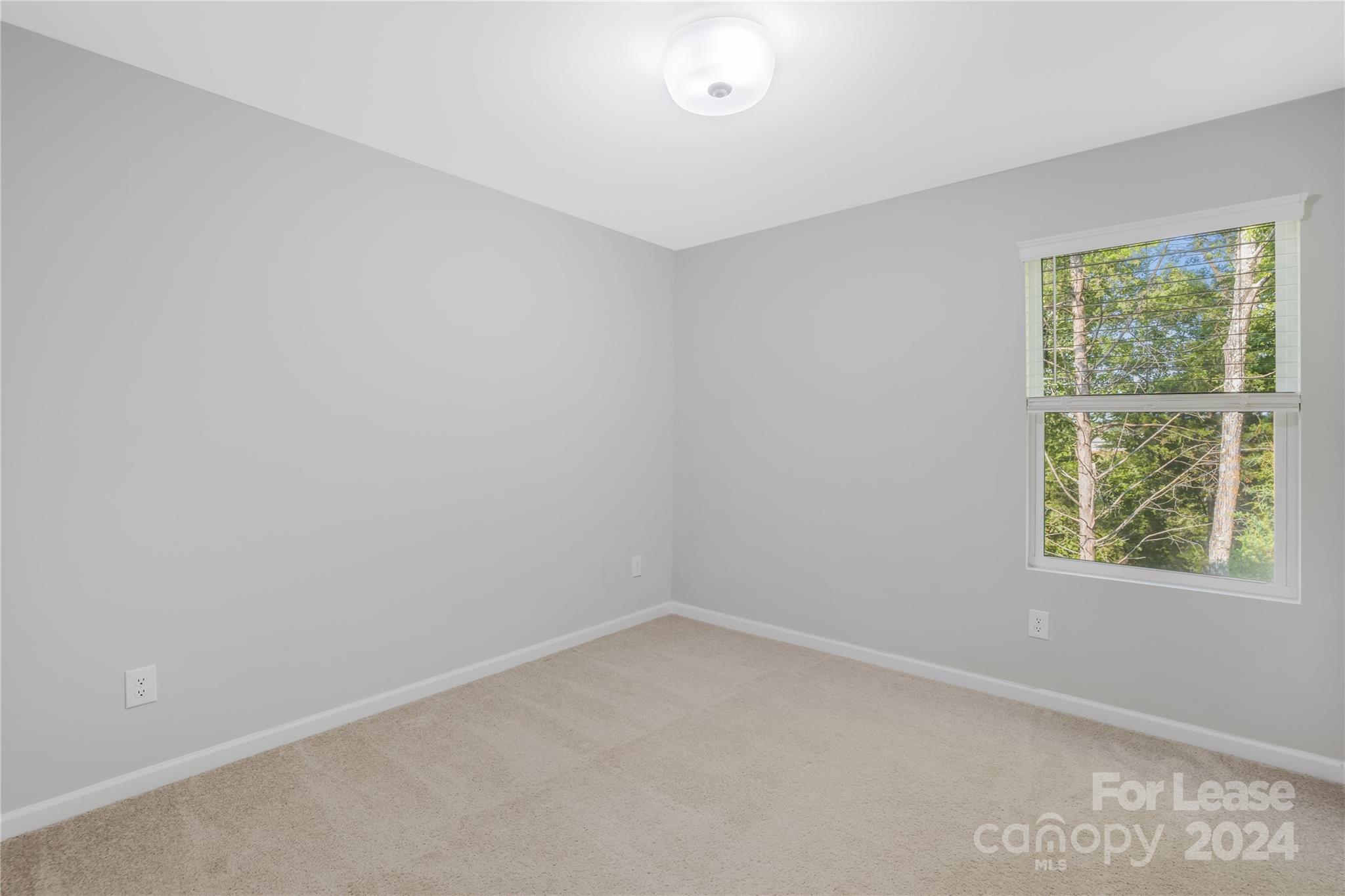 14029 Whistling Teal Drive Property Photo 16