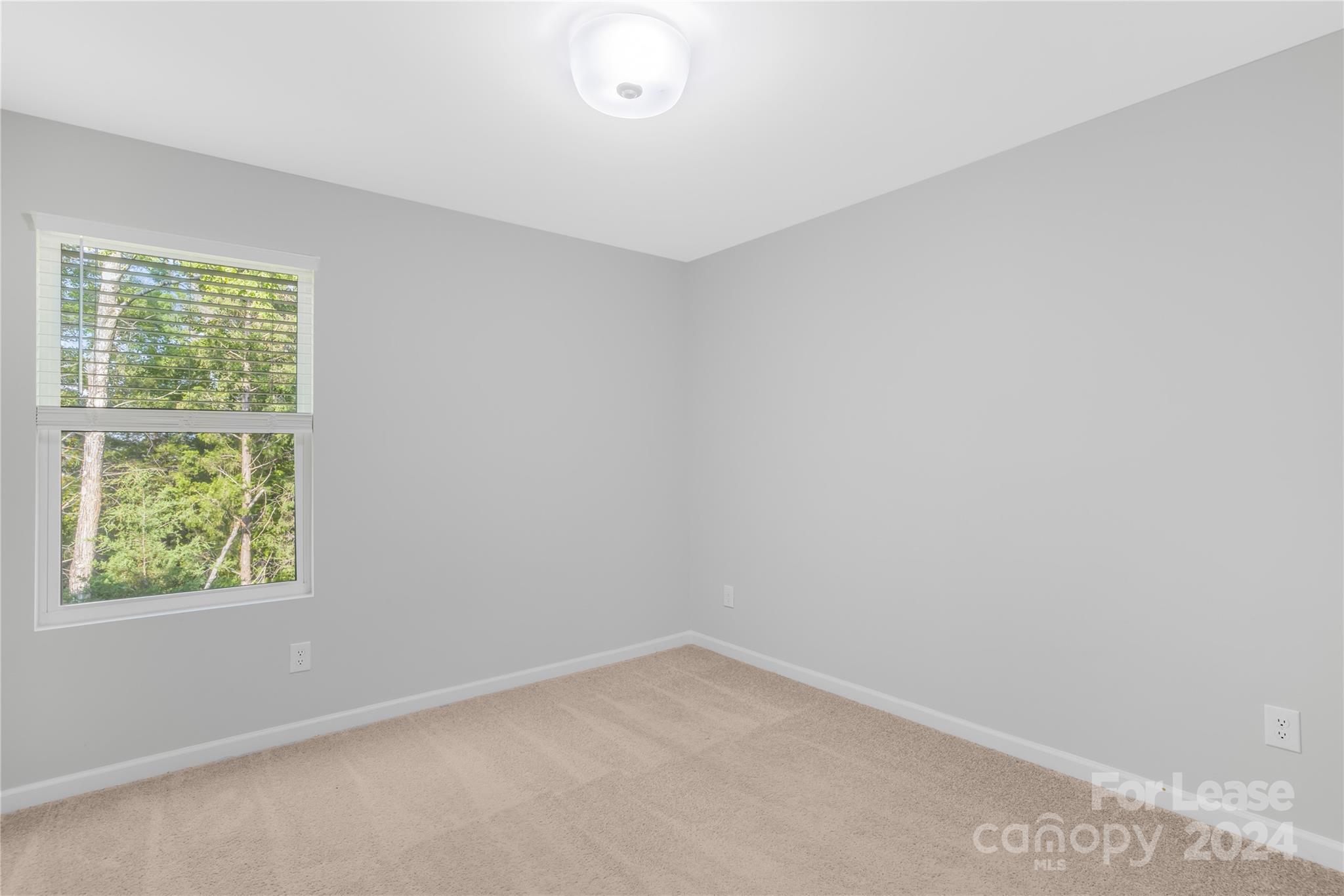 14029 Whistling Teal Drive Property Photo 18