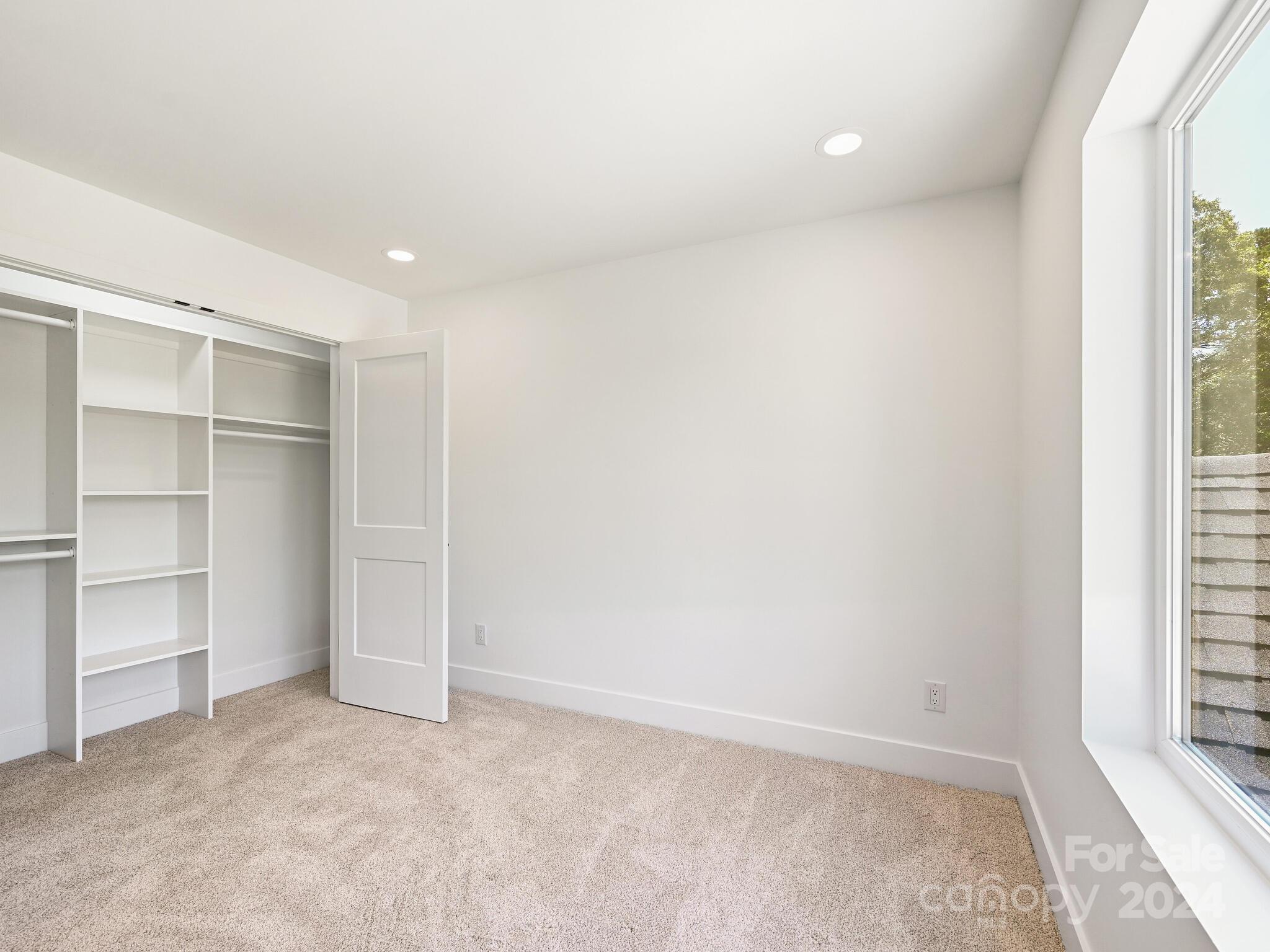 217 Thistle Ridge Court Property Photo 38