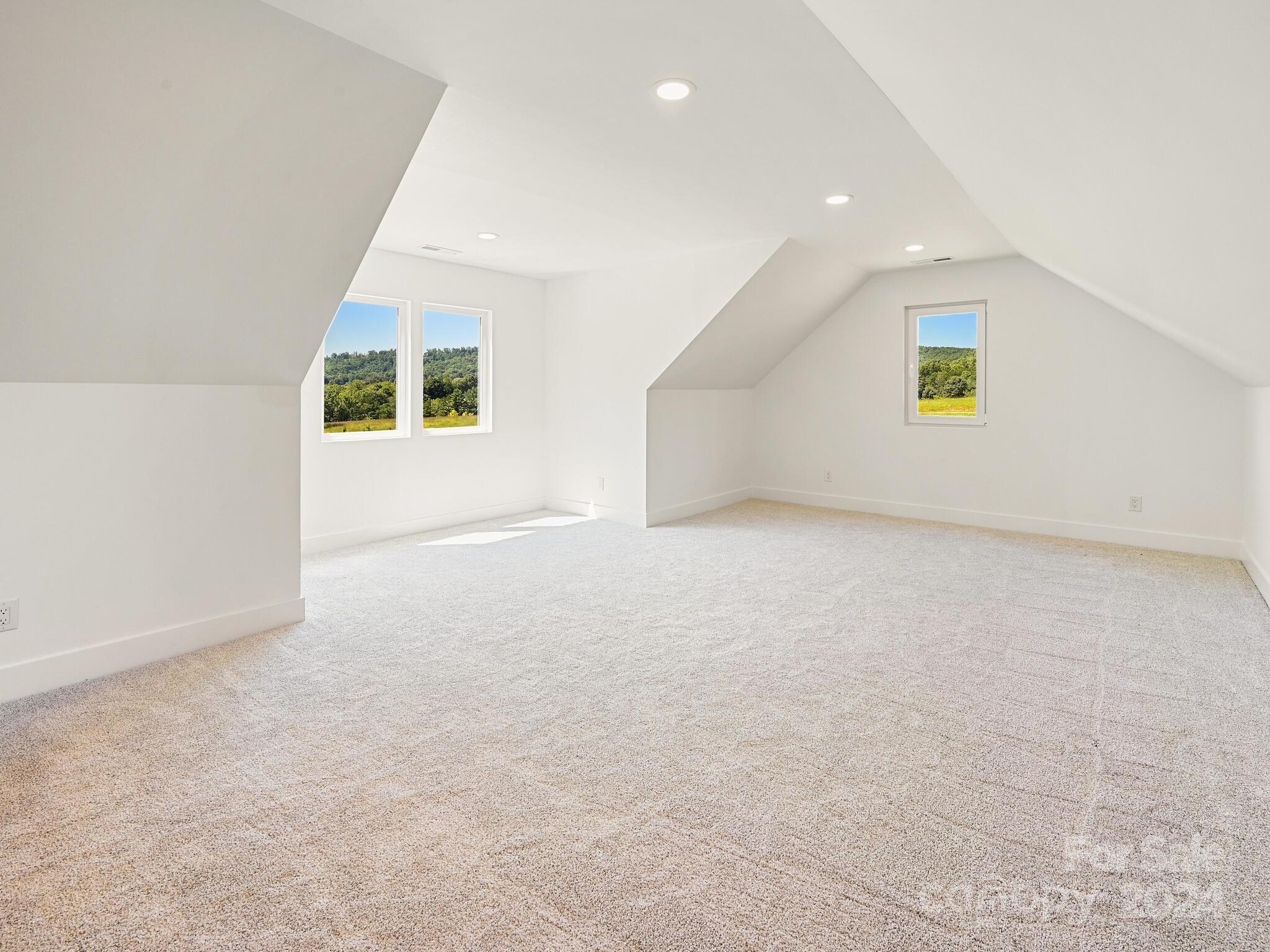 217 Thistle Ridge Court Property Photo 41