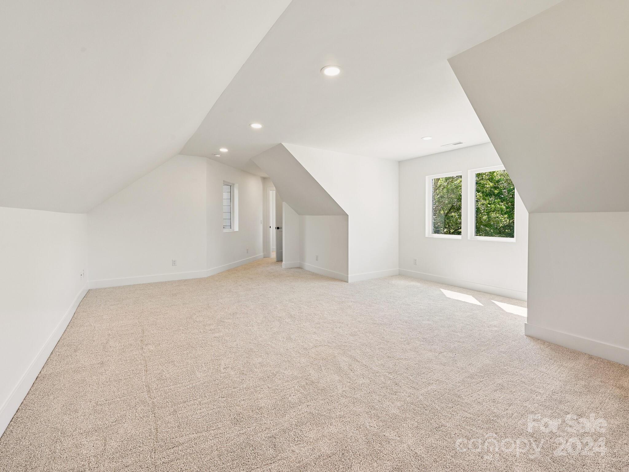 217 Thistle Ridge Court Property Photo 42
