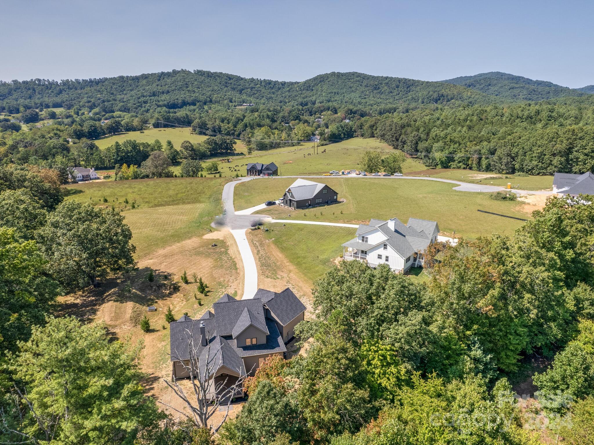 217 Thistle Ridge Court Property Photo 47
