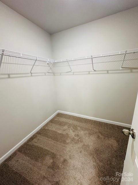 229 Lake George Drive Property Photo 24