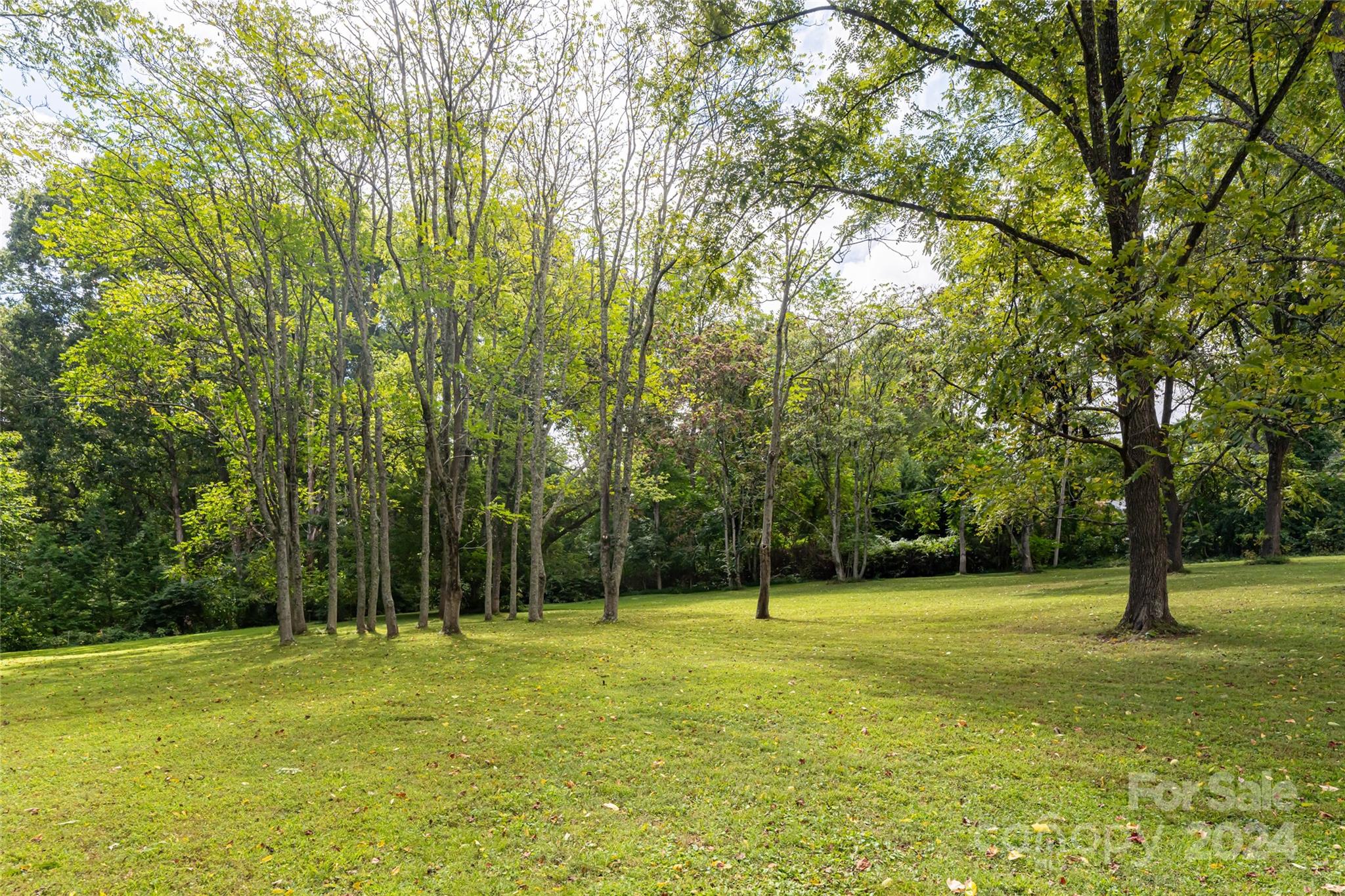 789 Hendersonville Road Property Photo 14