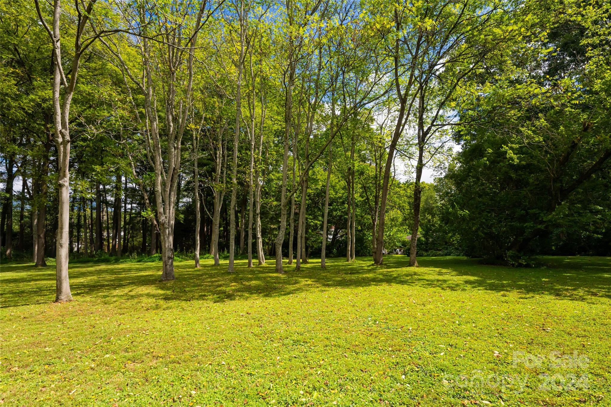 789 Hendersonville Road Property Photo 16
