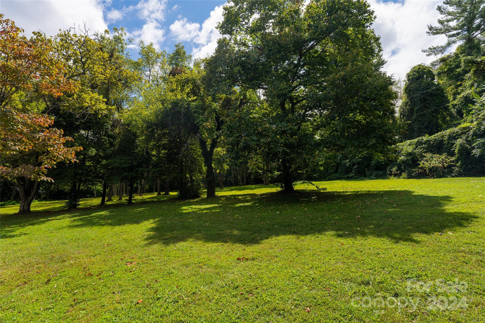 789 Hendersonville Road Property Photo 19