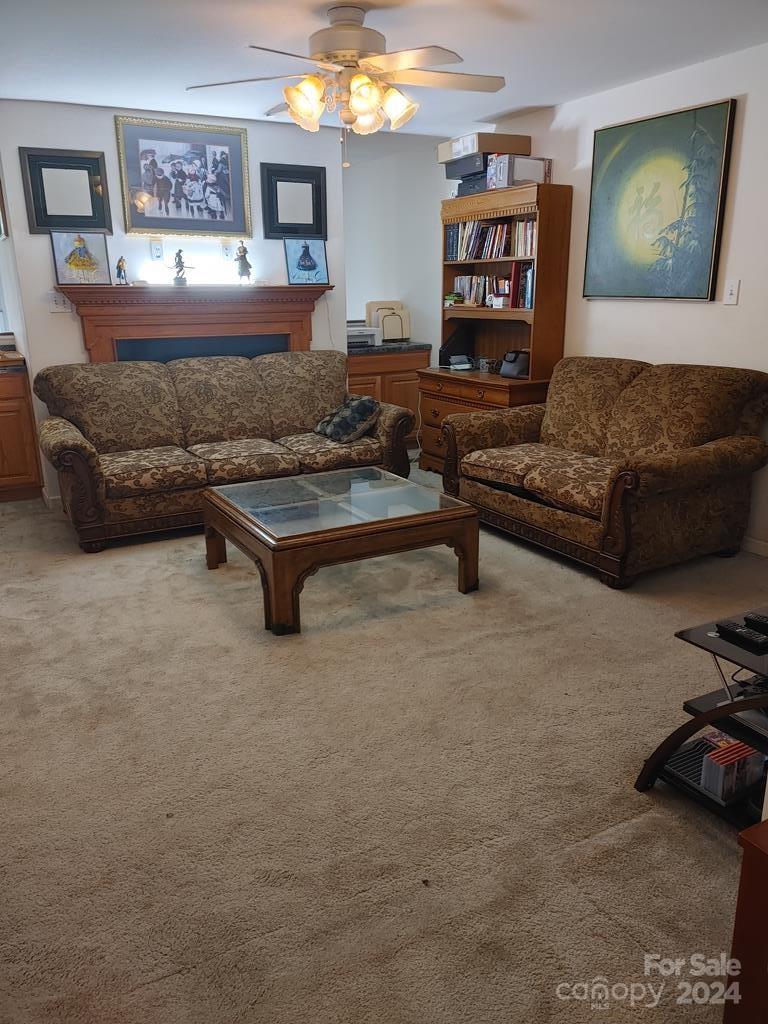 113 Courtney Marie Drive Property Photo 2