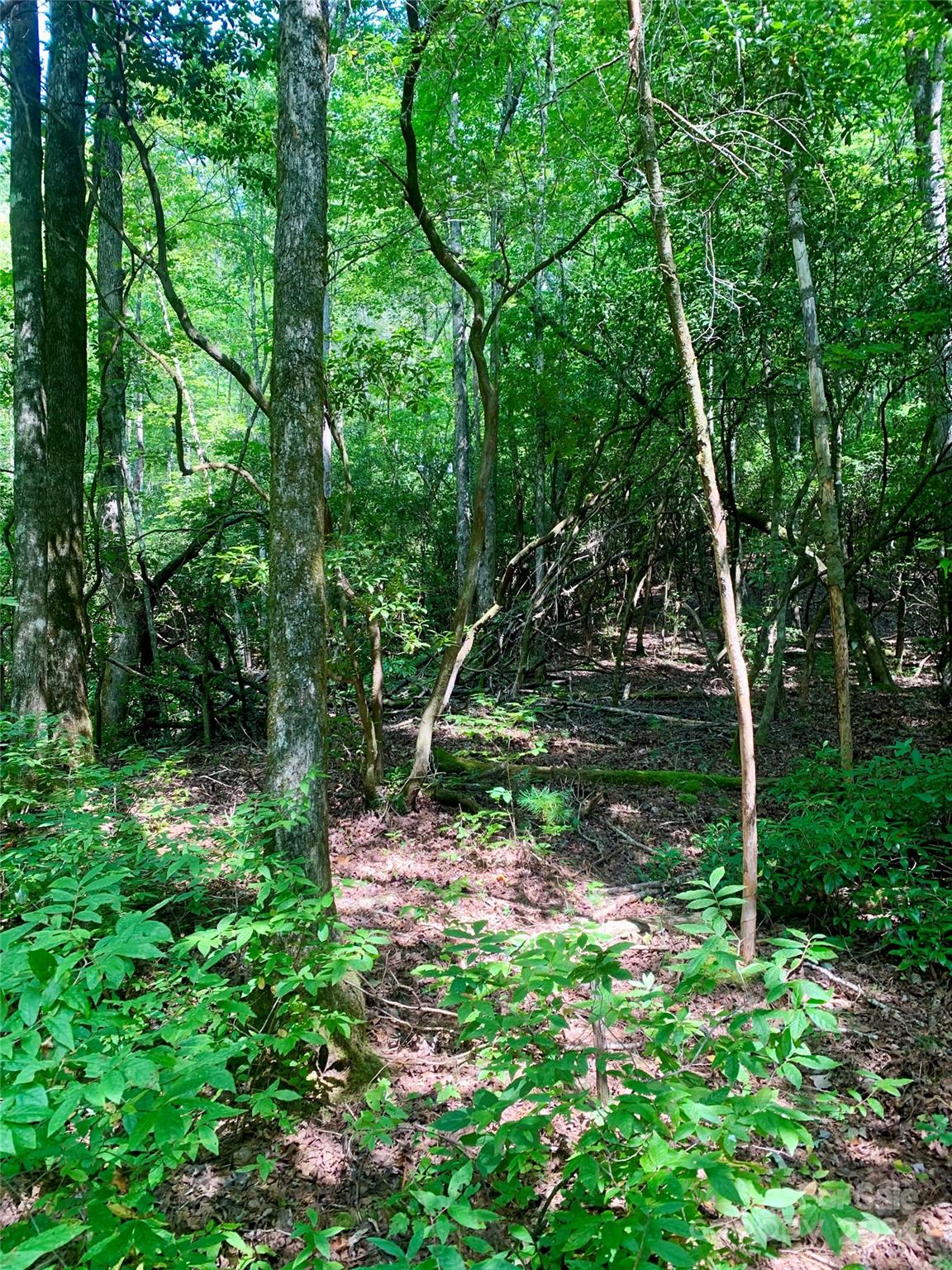 Tbd Double Creek Drive 6 Property Photo