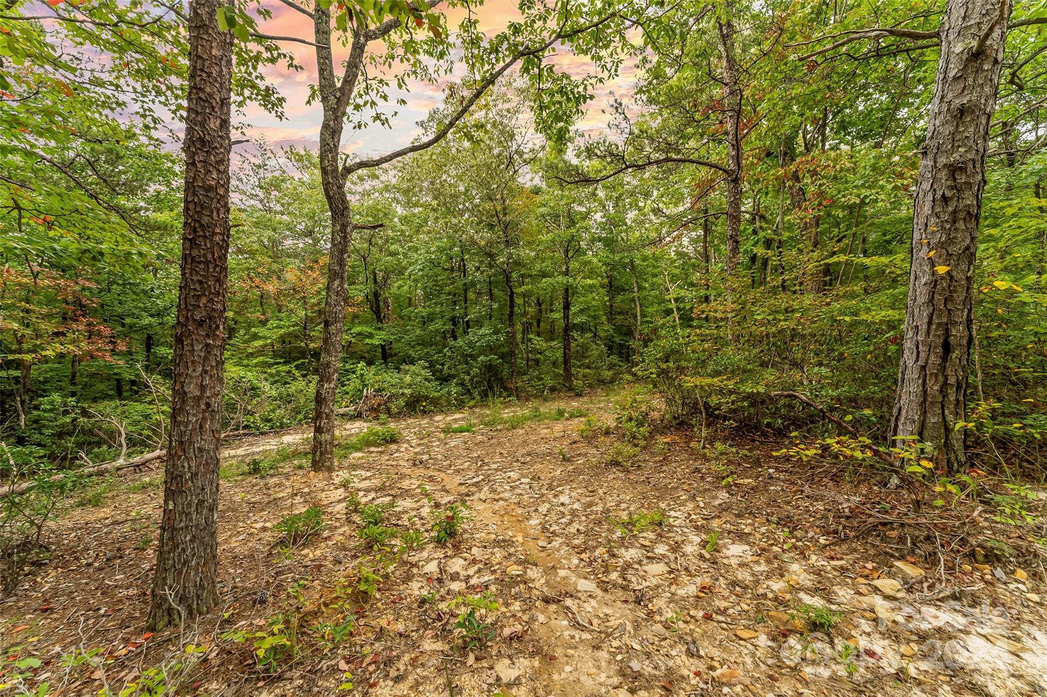 6056 Wilderness Edge Trail Property Photo 35