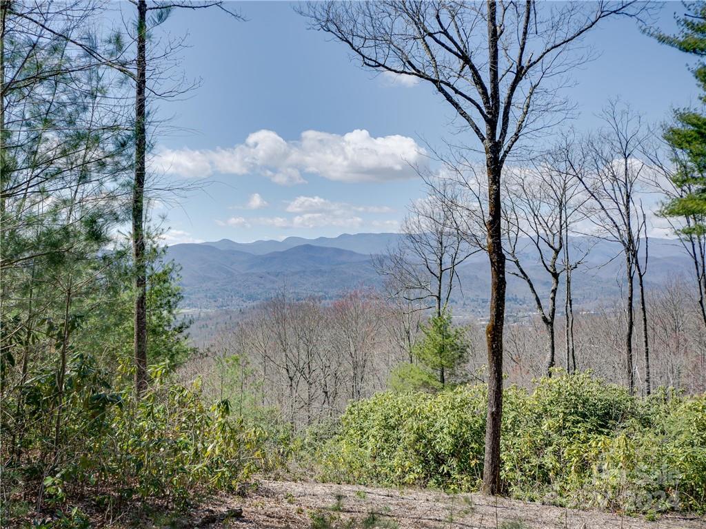 8b Reserve Road Property Photo