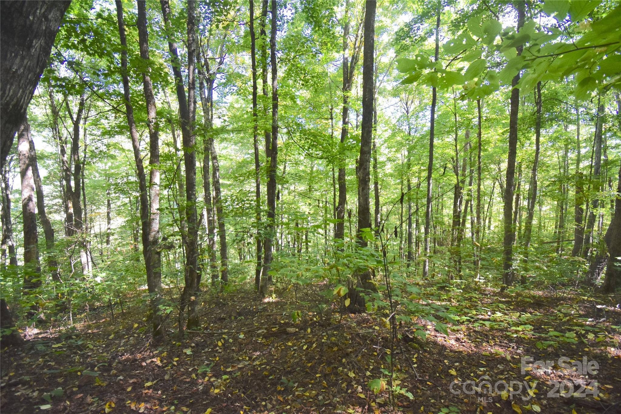 0 Chimney Ridge Trail 131 Property Photo 2