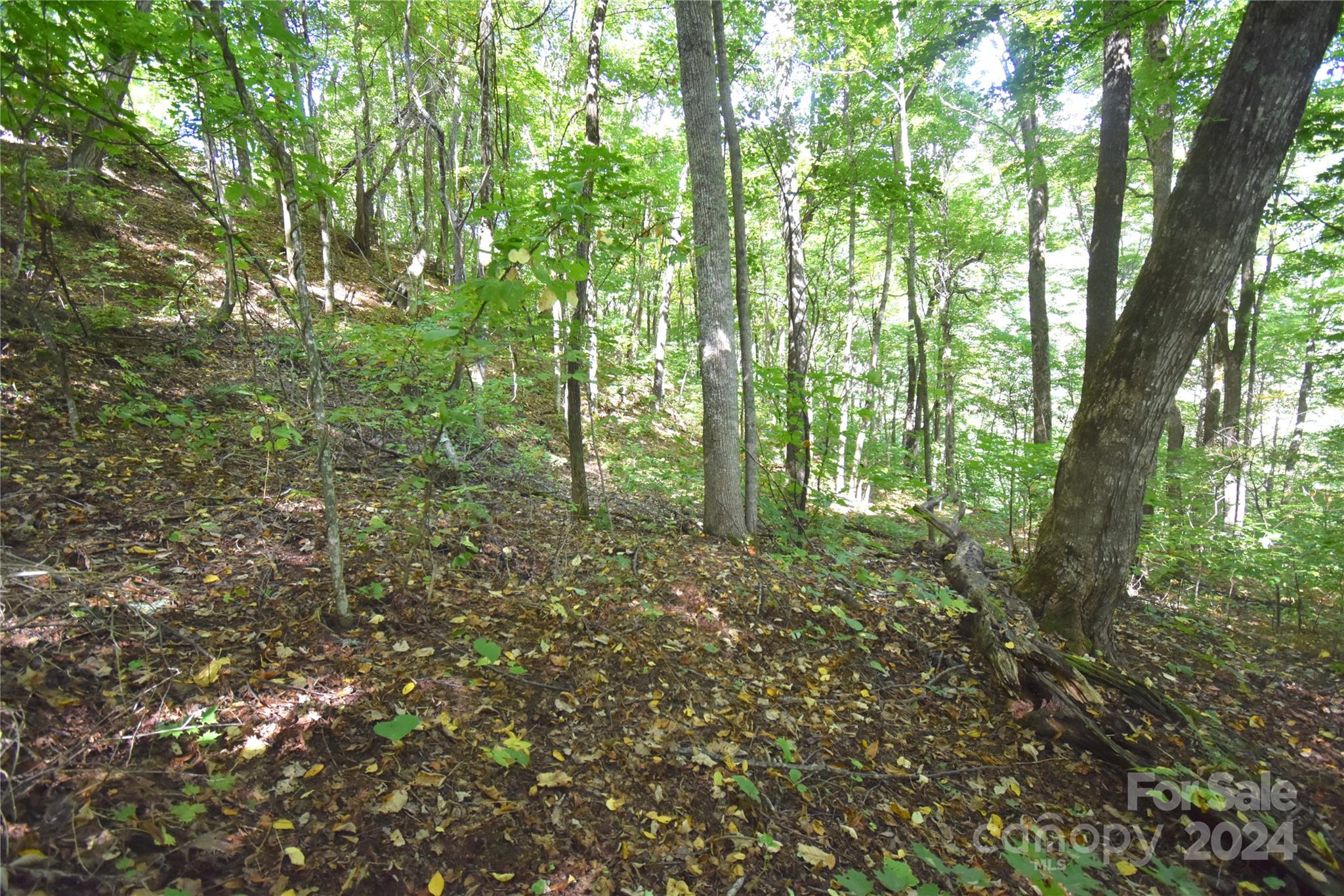 0 Chimney Ridge Trail 131 Property Photo 3