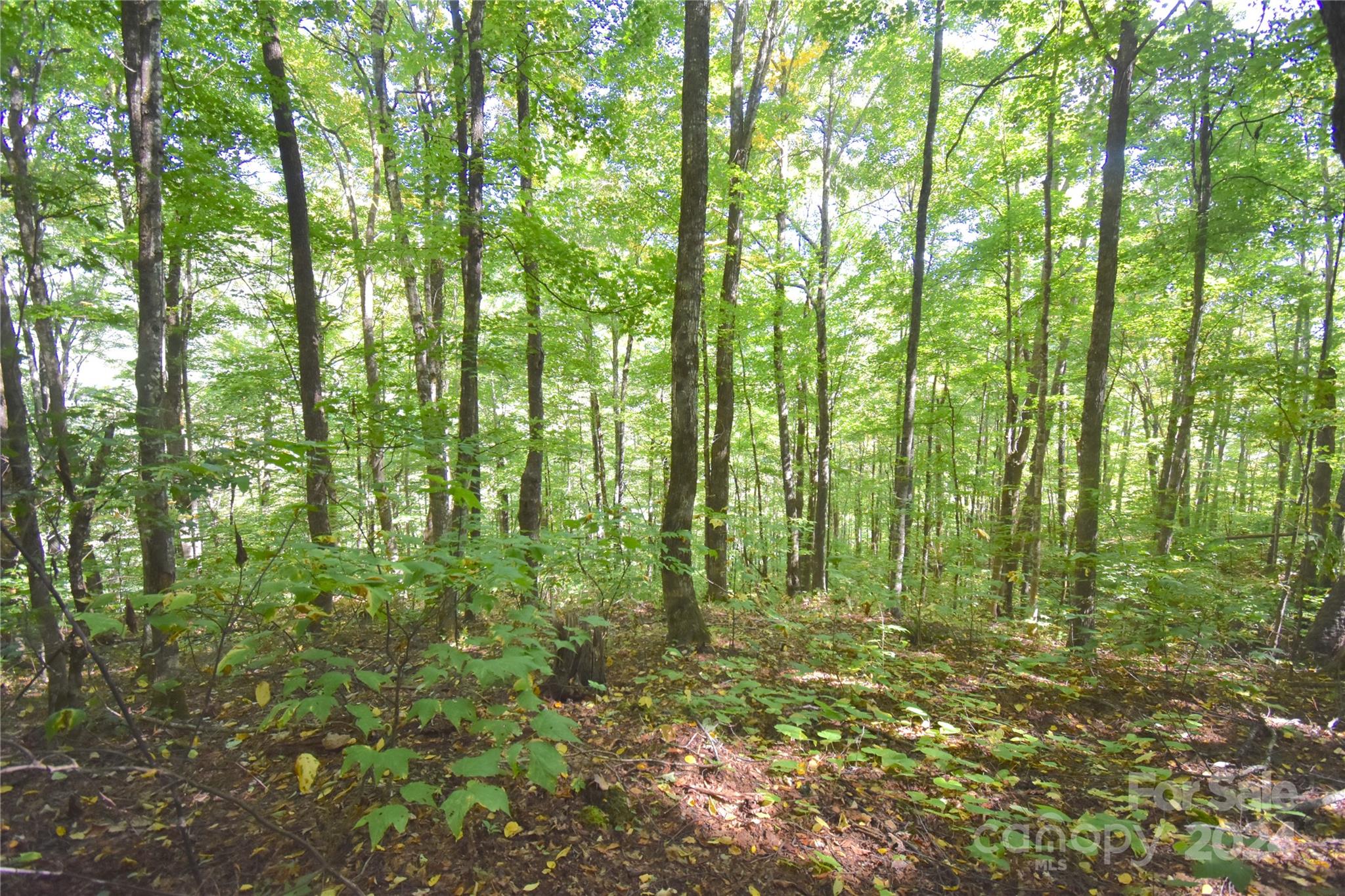 0 Chimney Ridge Trail 131 Property Photo 4