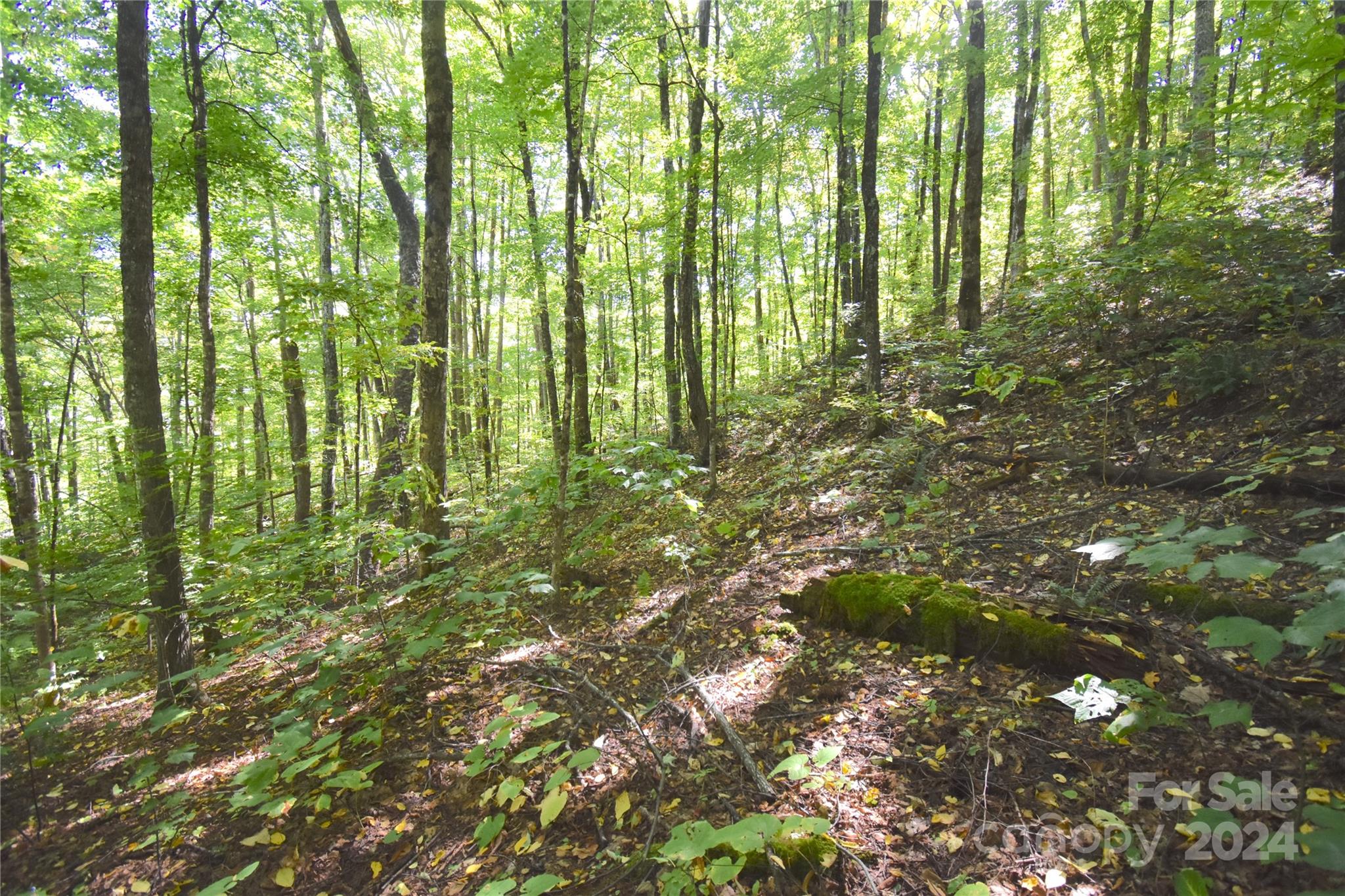 0 Chimney Ridge Trail 131 Property Photo 5