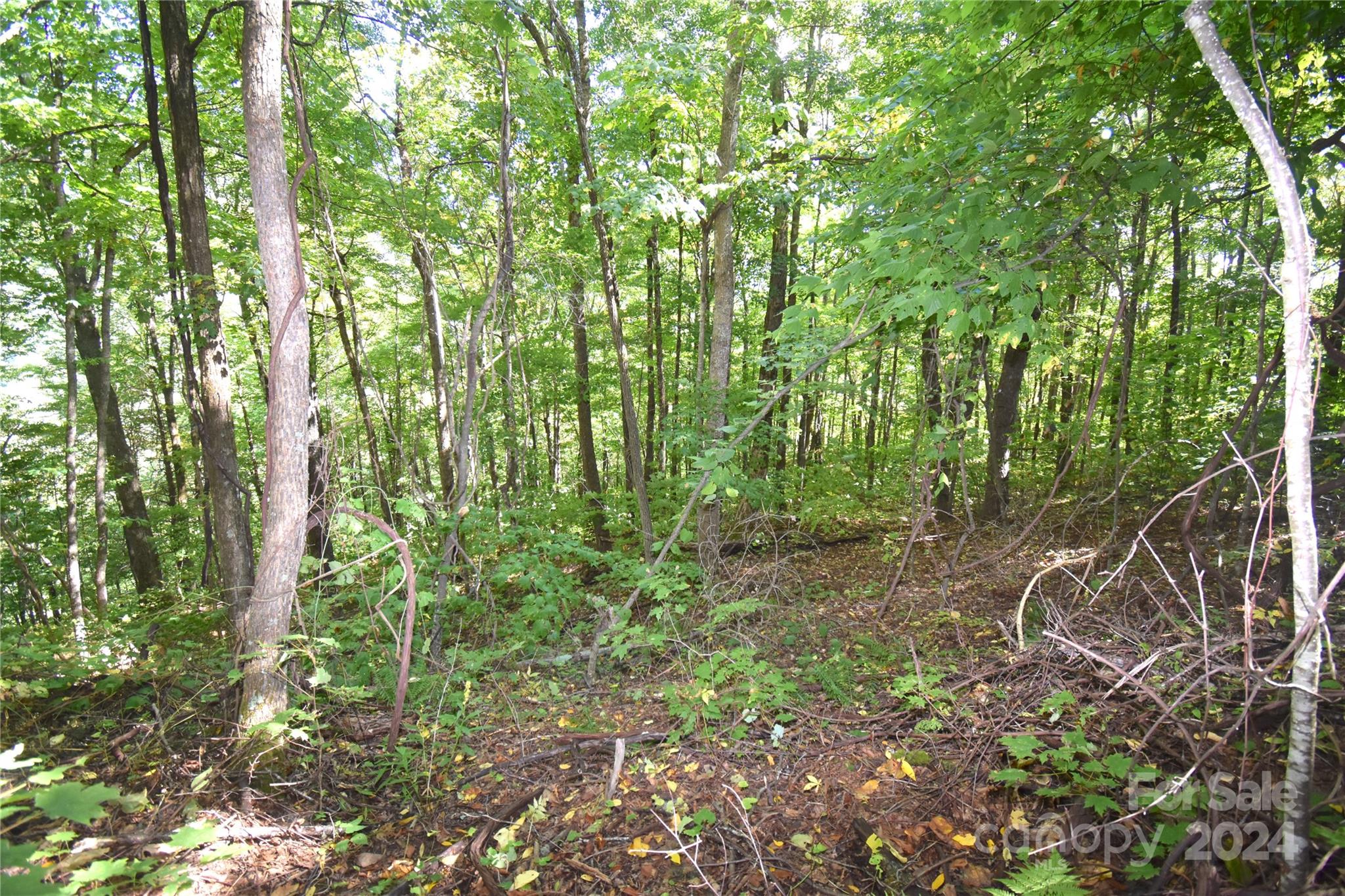 0 Chimney Ridge Trail 131 Property Photo 6