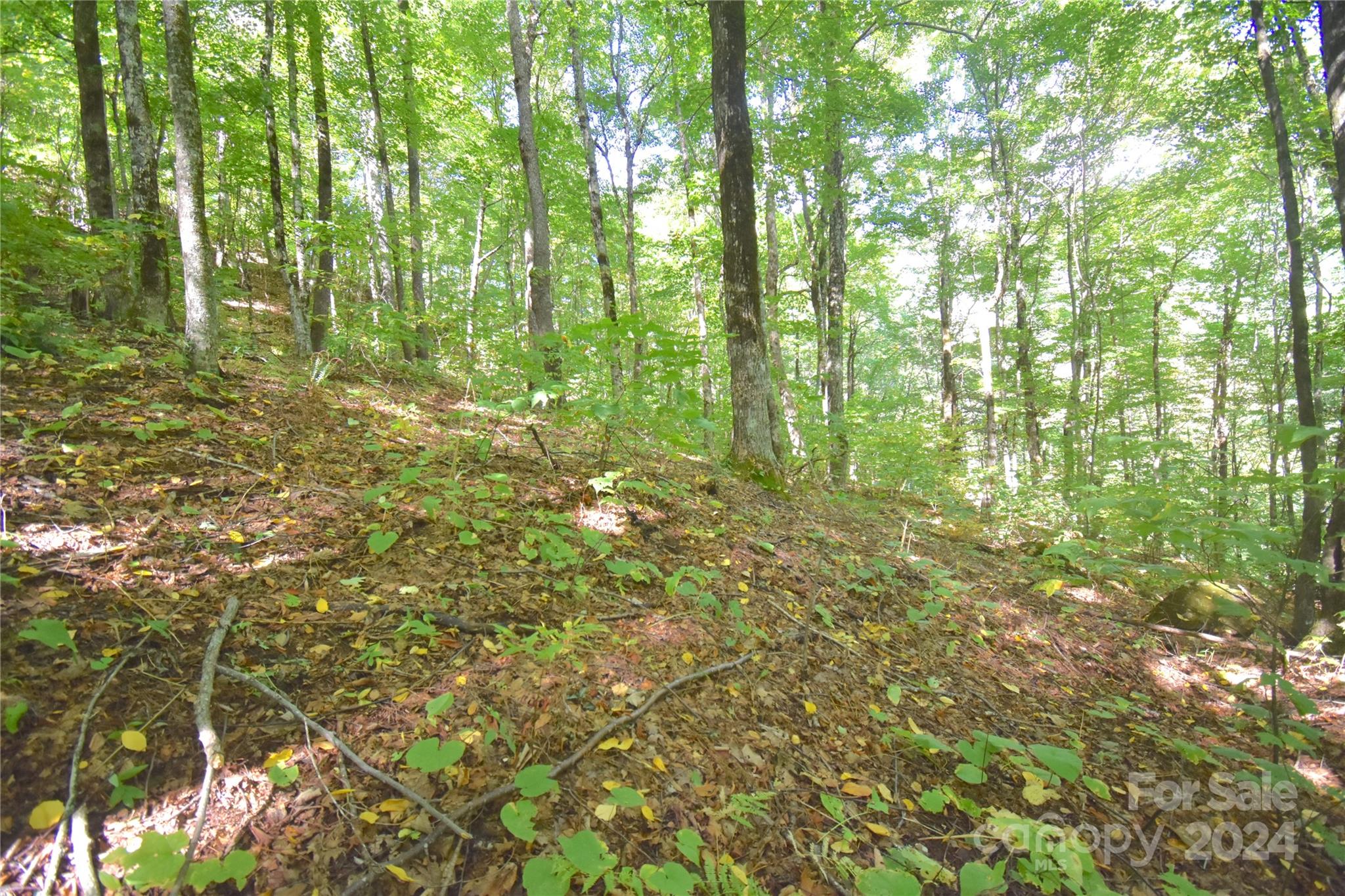 0 Chimney Ridge Trail 131 Property Photo 7