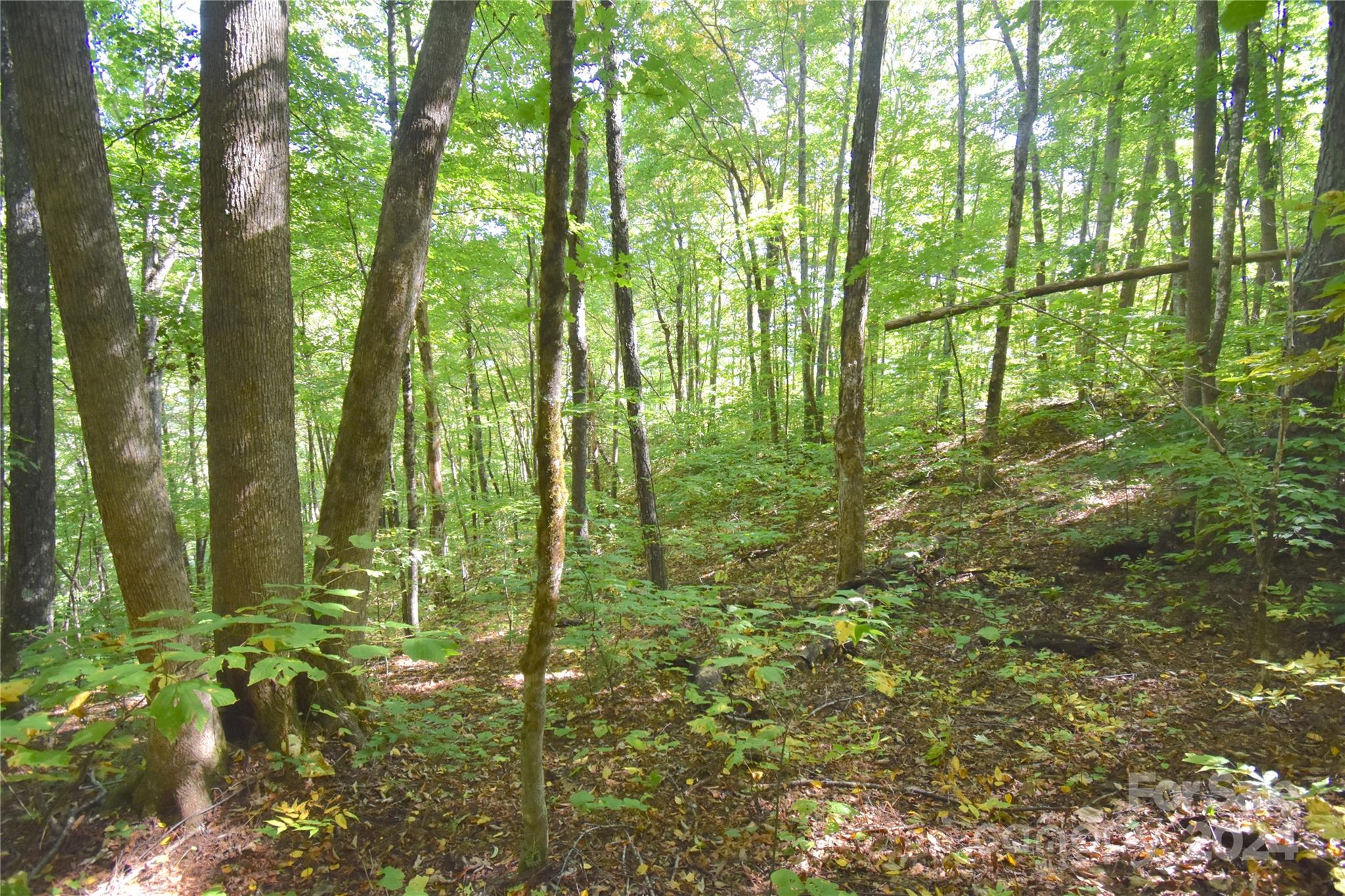 0 Chimney Ridge Trail 131 Property Photo 8