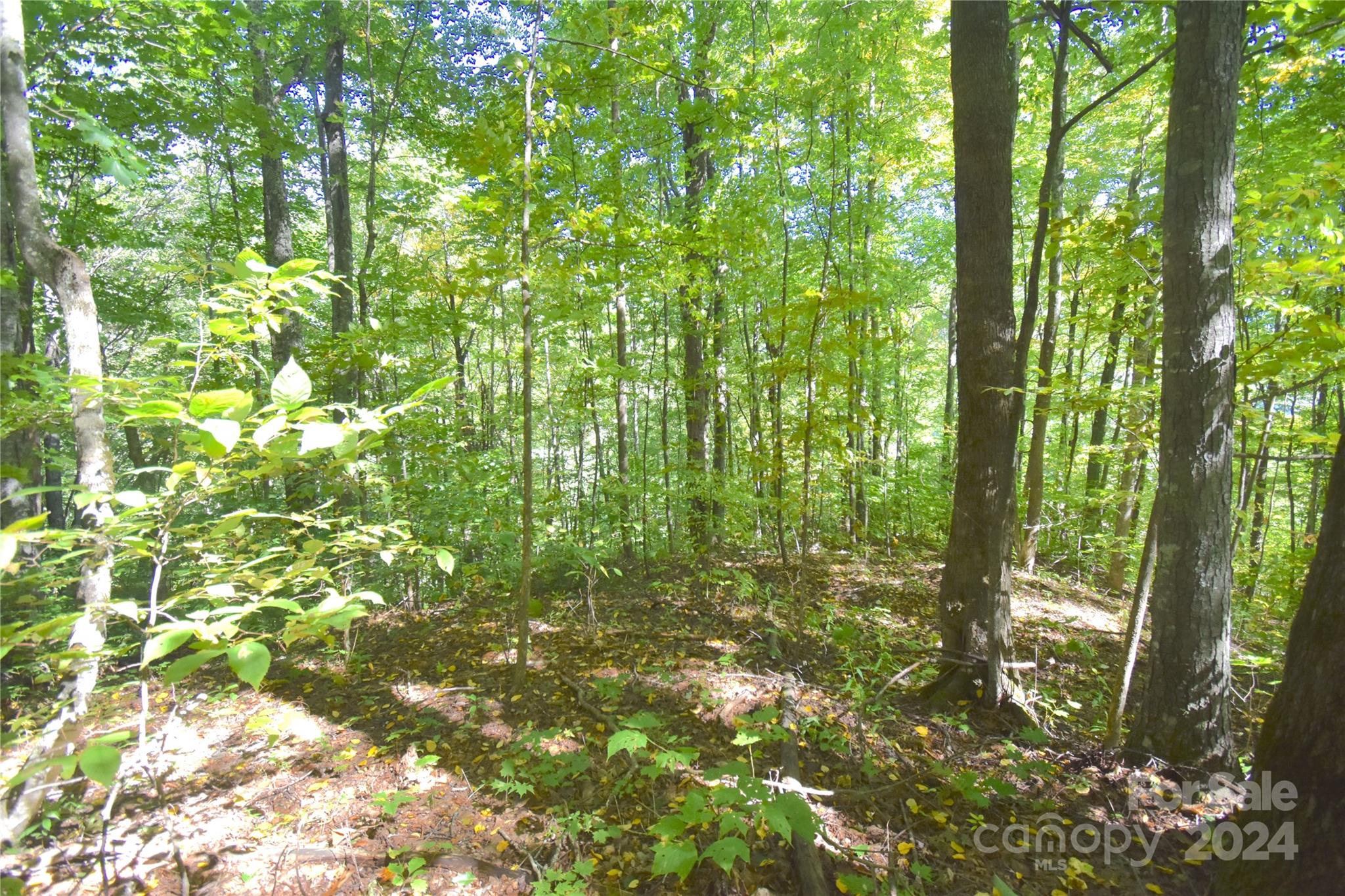 0 Chimney Ridge Trail 131 Property Photo 9
