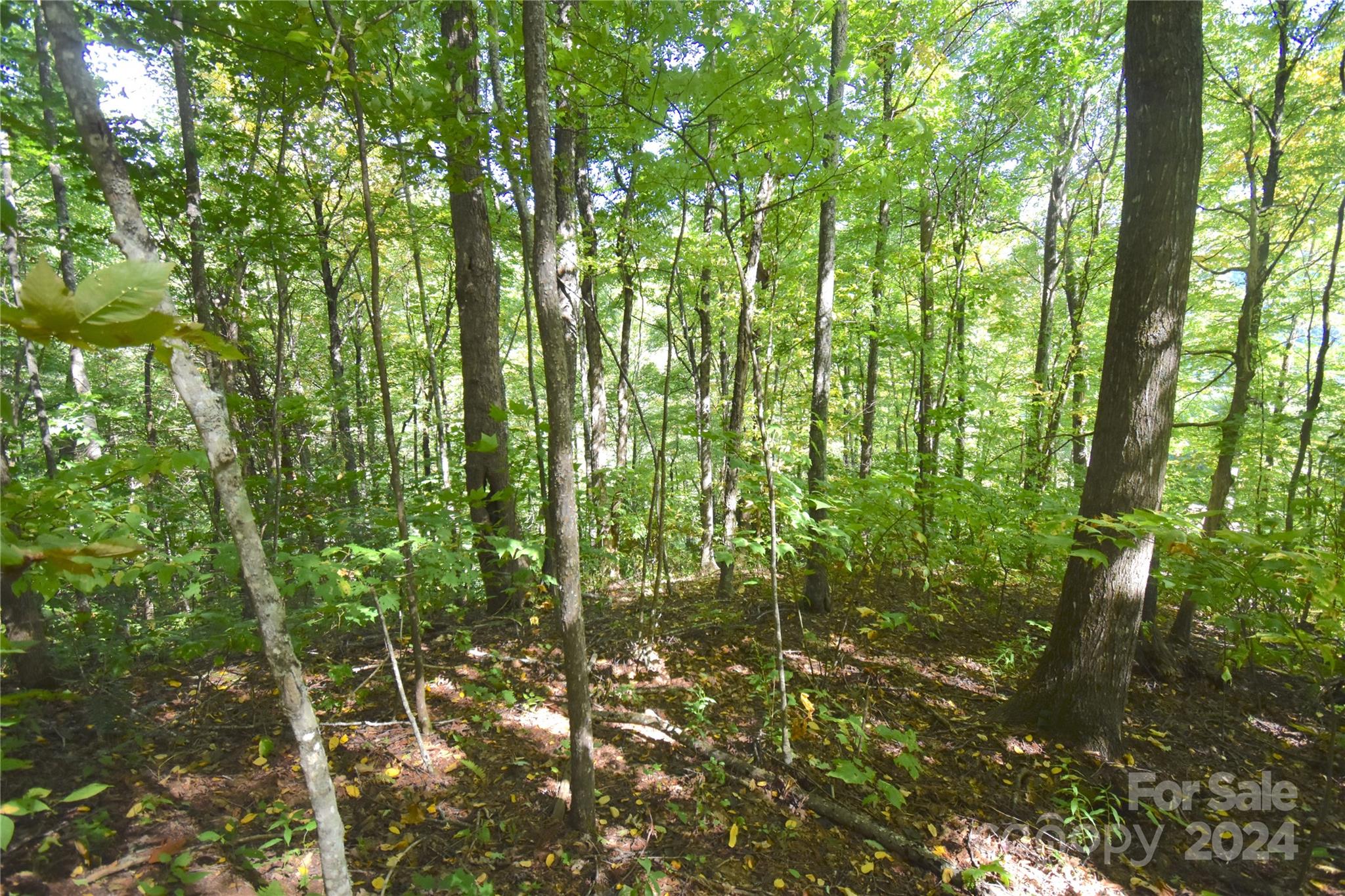 0 Chimney Ridge Trail 131 Property Photo 10
