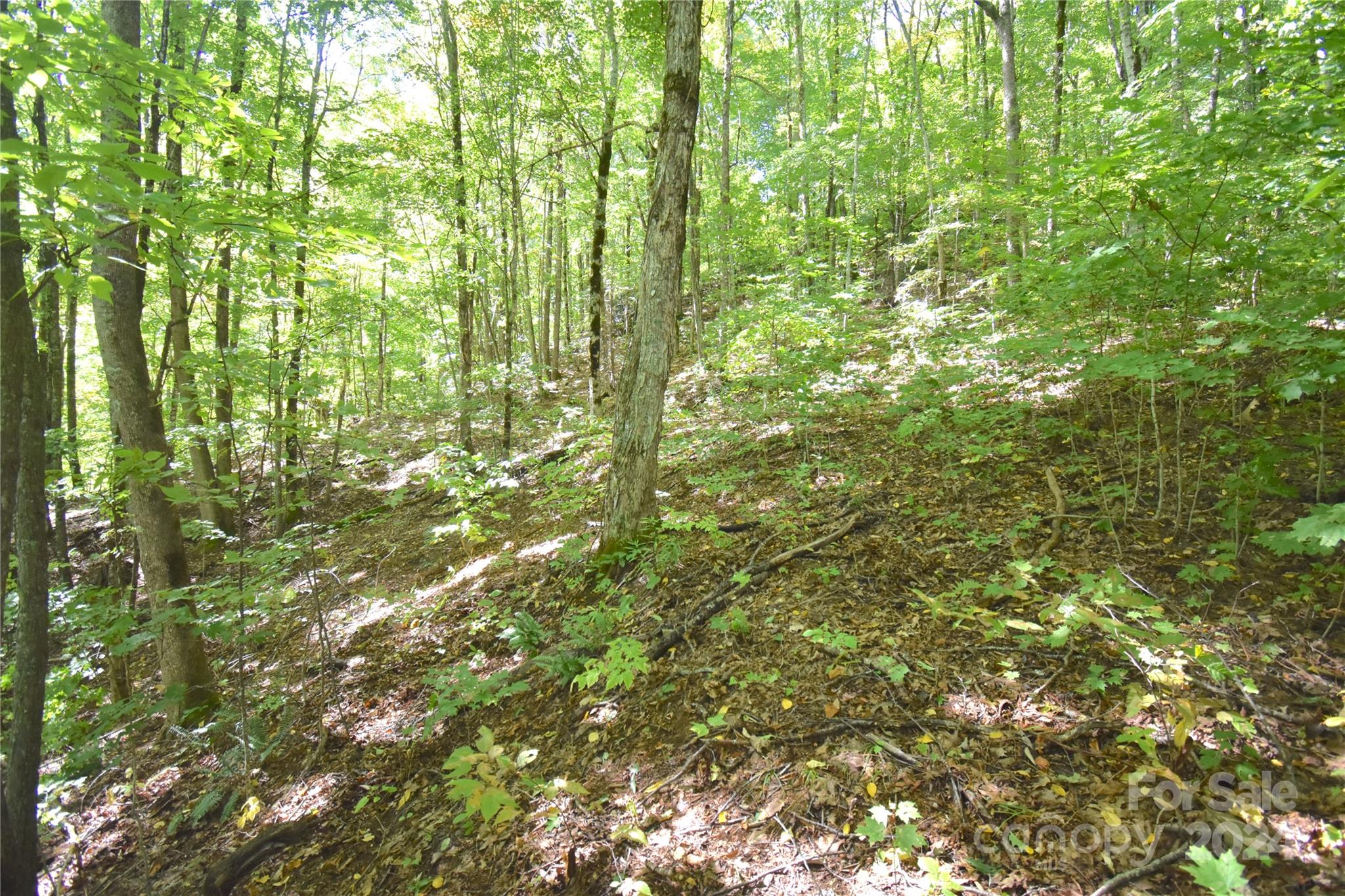0 Chimney Ridge Trail 131 Property Photo 11