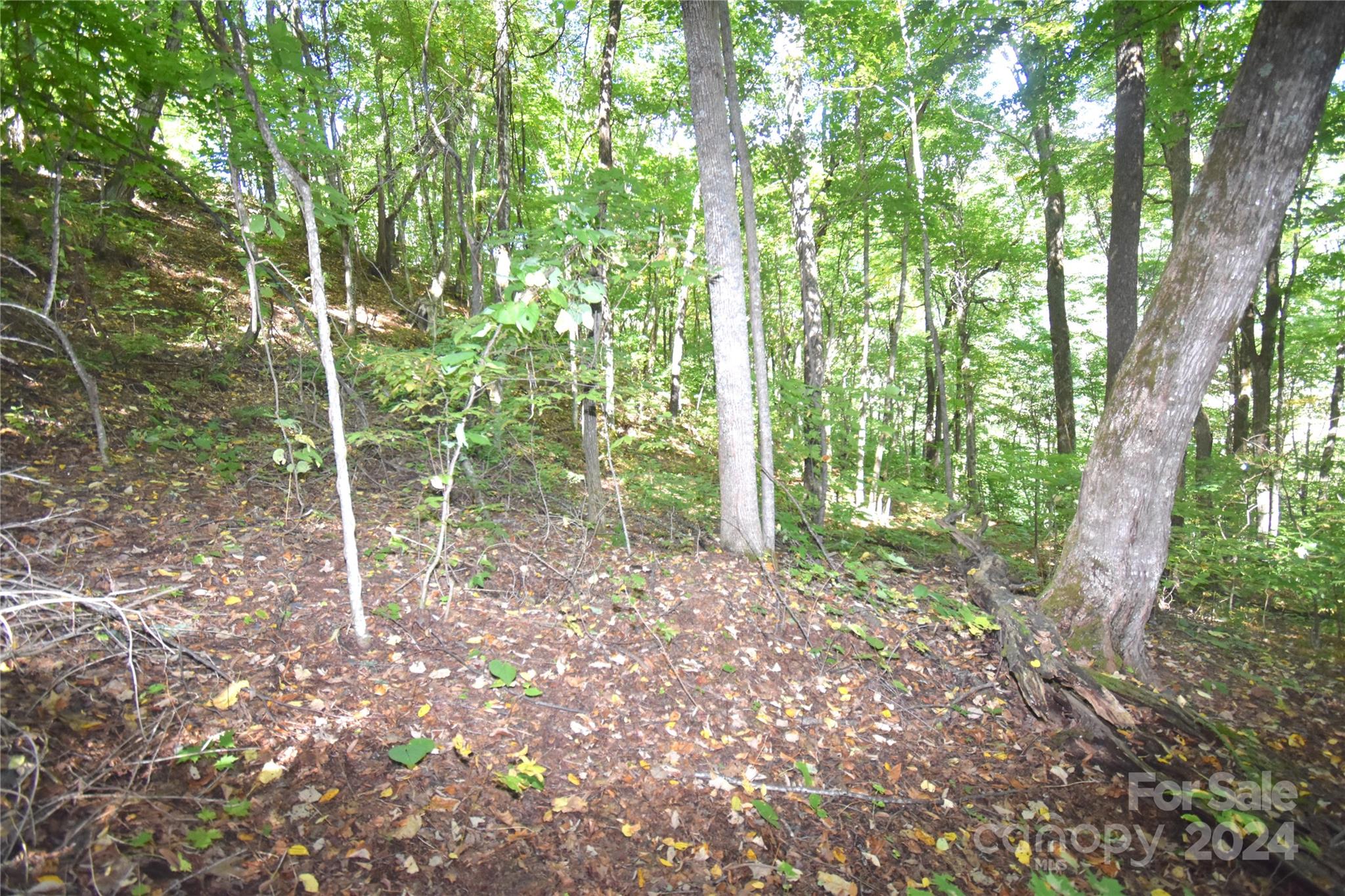 0 Chimney Ridge Trail 131 Property Photo 12