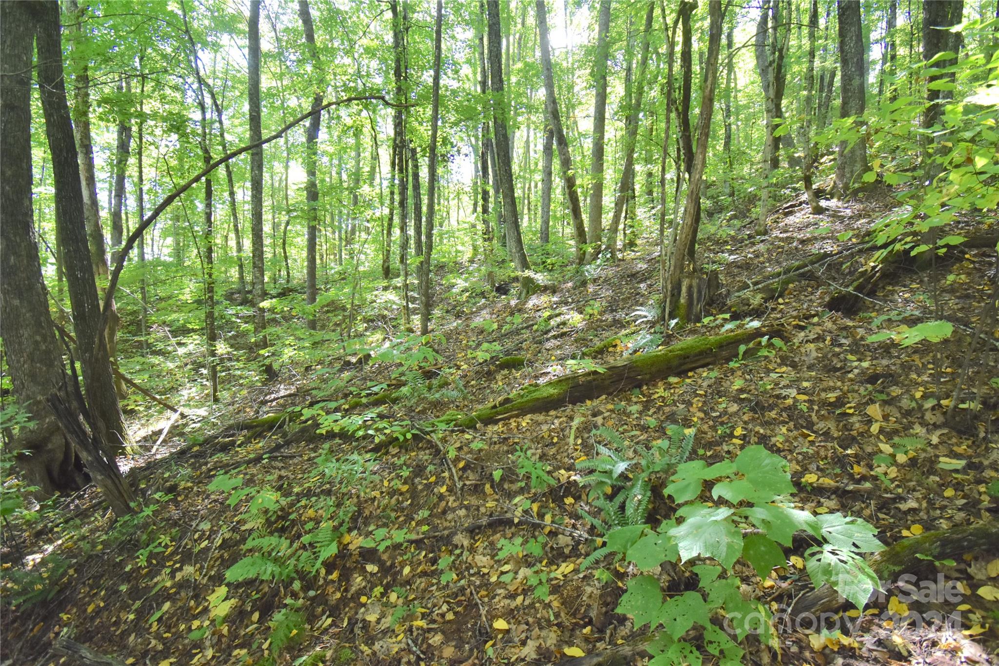 0 Chimney Ridge Trail 131 Property Photo 13