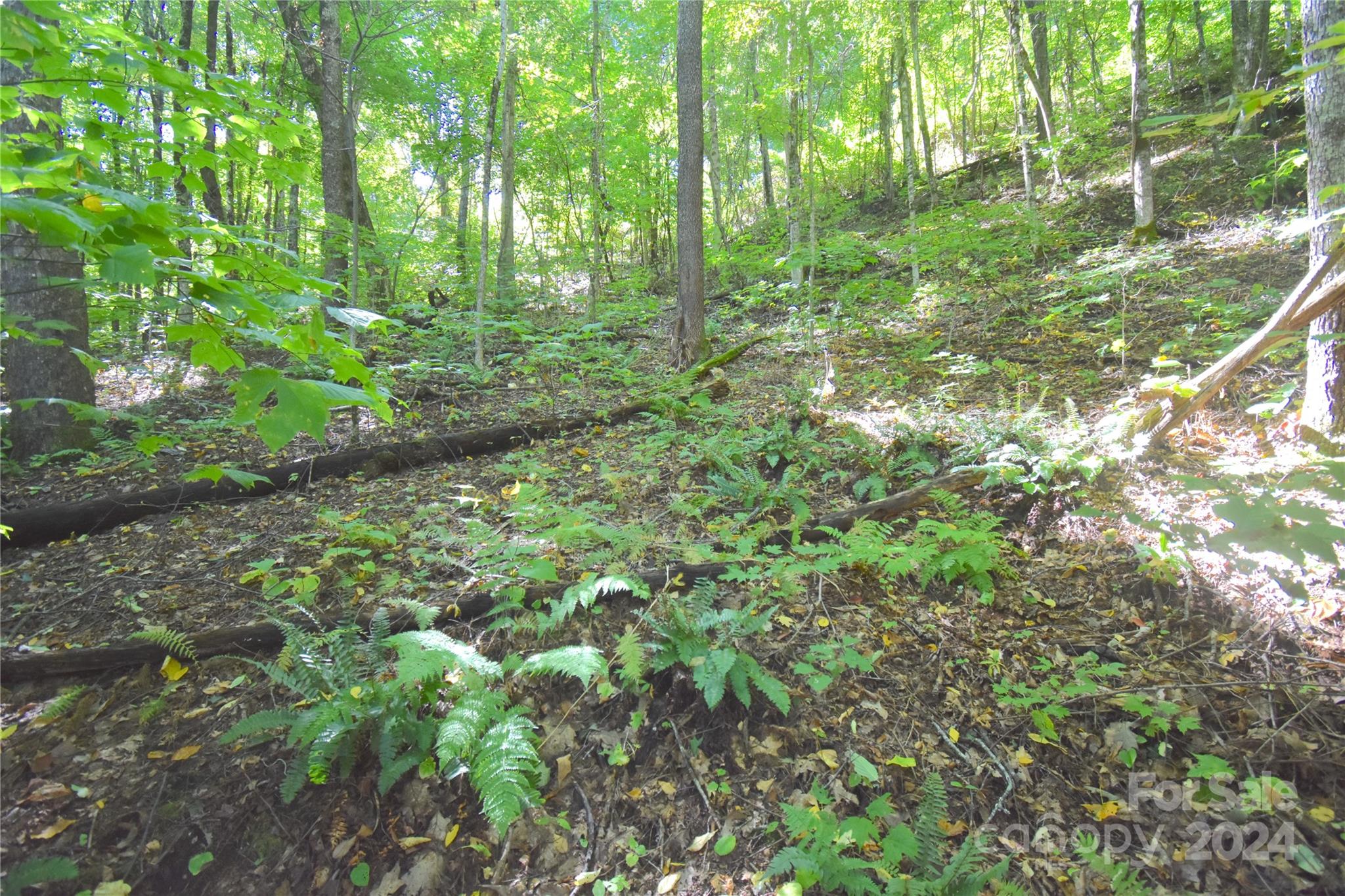 0 Chimney Ridge Trail 131 Property Photo 14