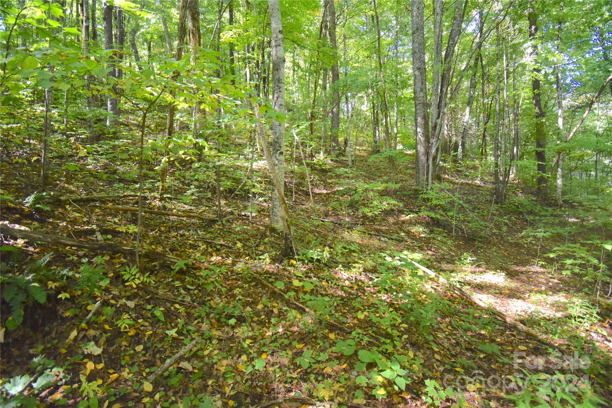 0 Chimney Ridge Trail 131 Property Photo 15