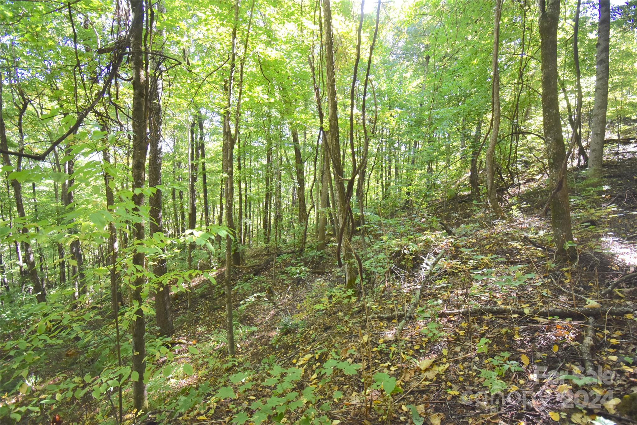 0 Chimney Ridge Trail 131 Property Photo 16