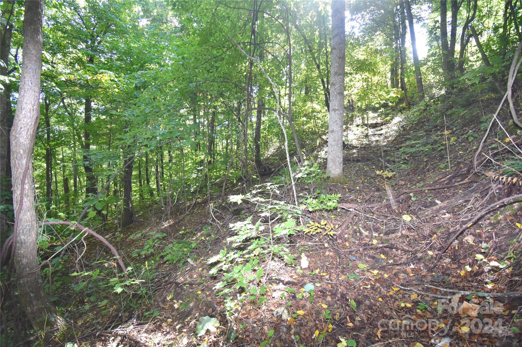 0 Chimney Ridge Trail 131 Property Photo 17