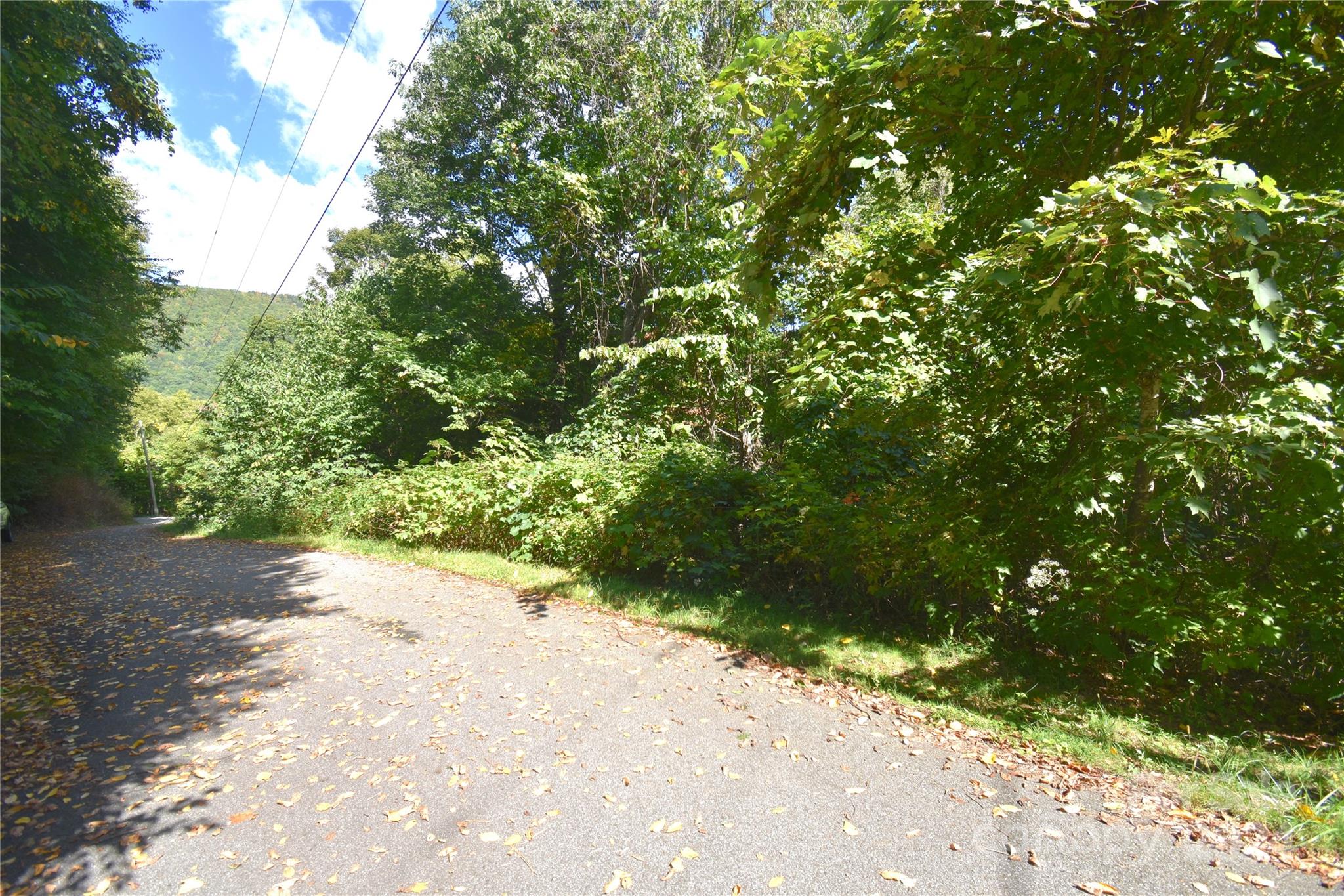 0 Chimney Ridge Trail 131 Property Photo 18