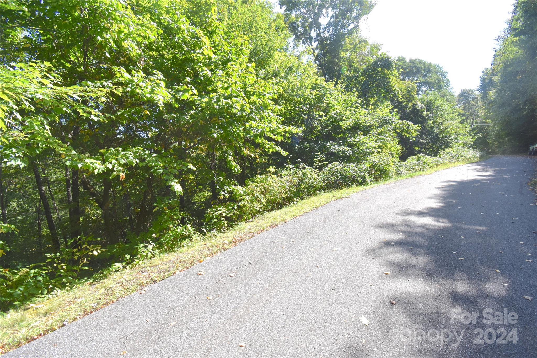 0 Chimney Ridge Trail 131 Property Photo 19