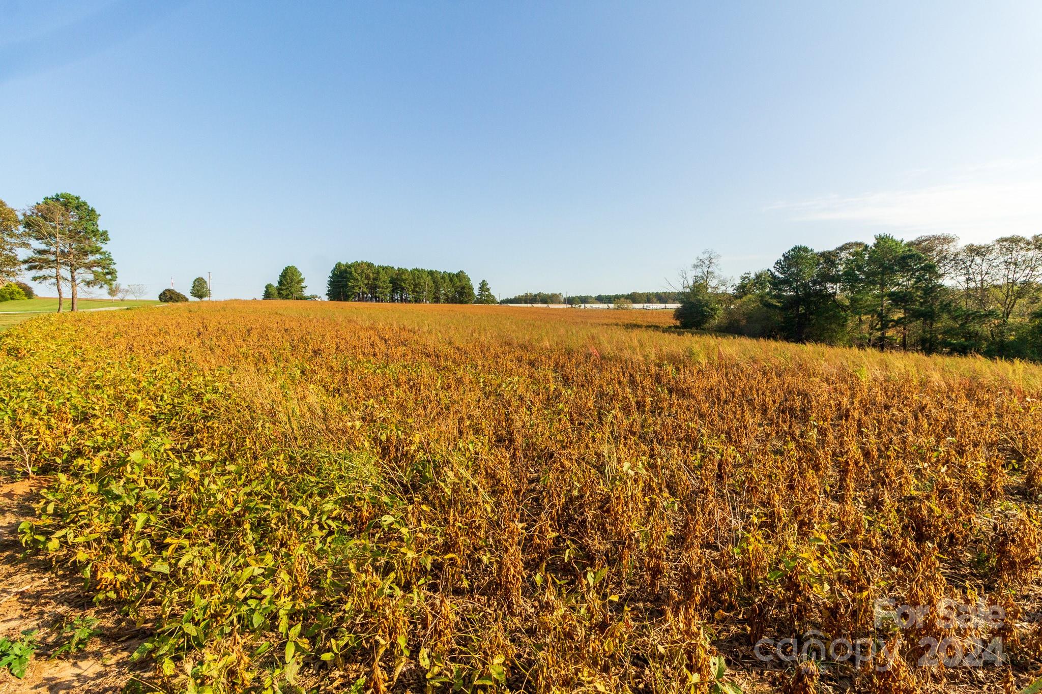 00 Lattimore Road Property Photo 14