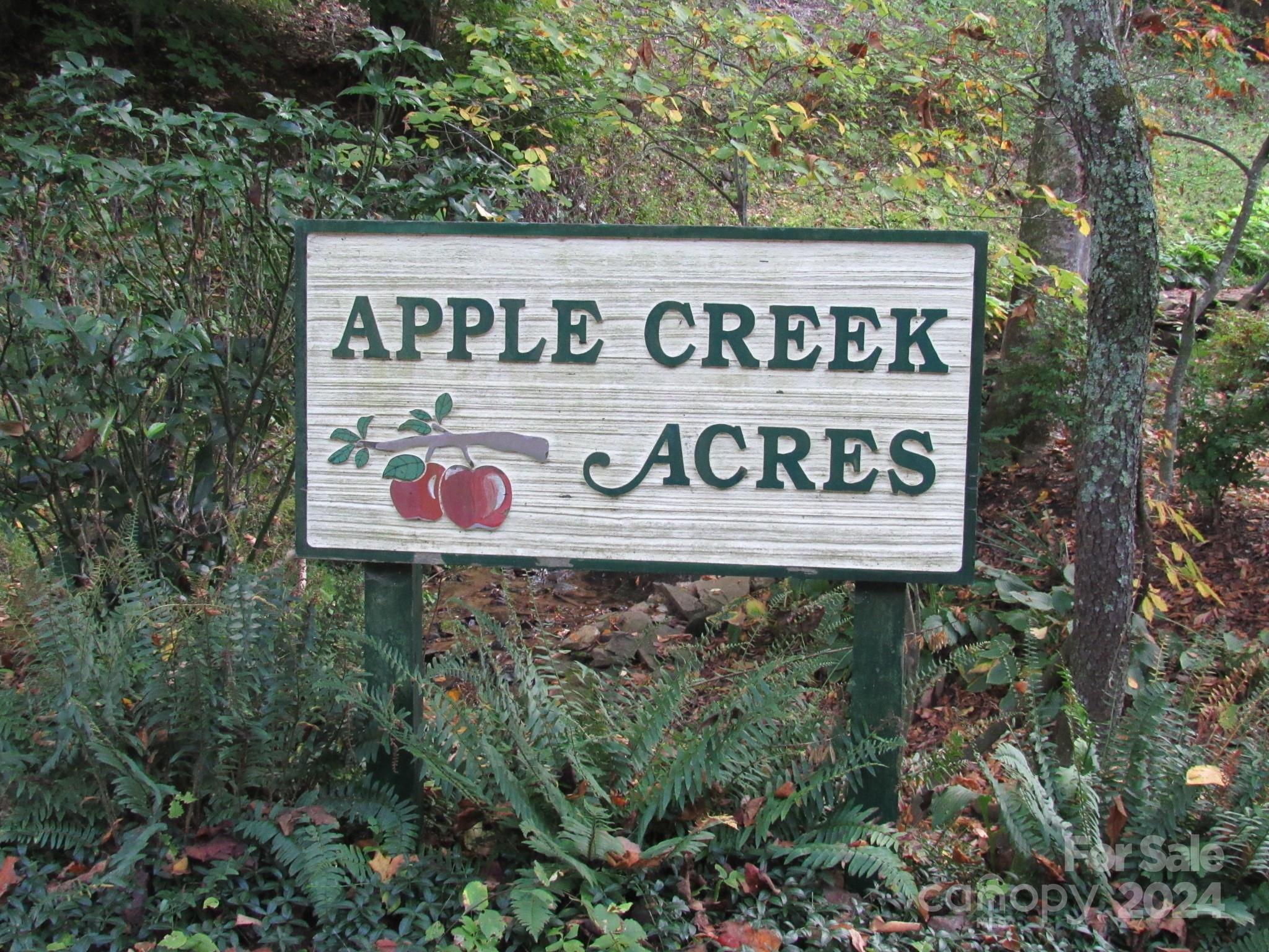 Lot 211 B Apple Creek Road 211 Property Photo