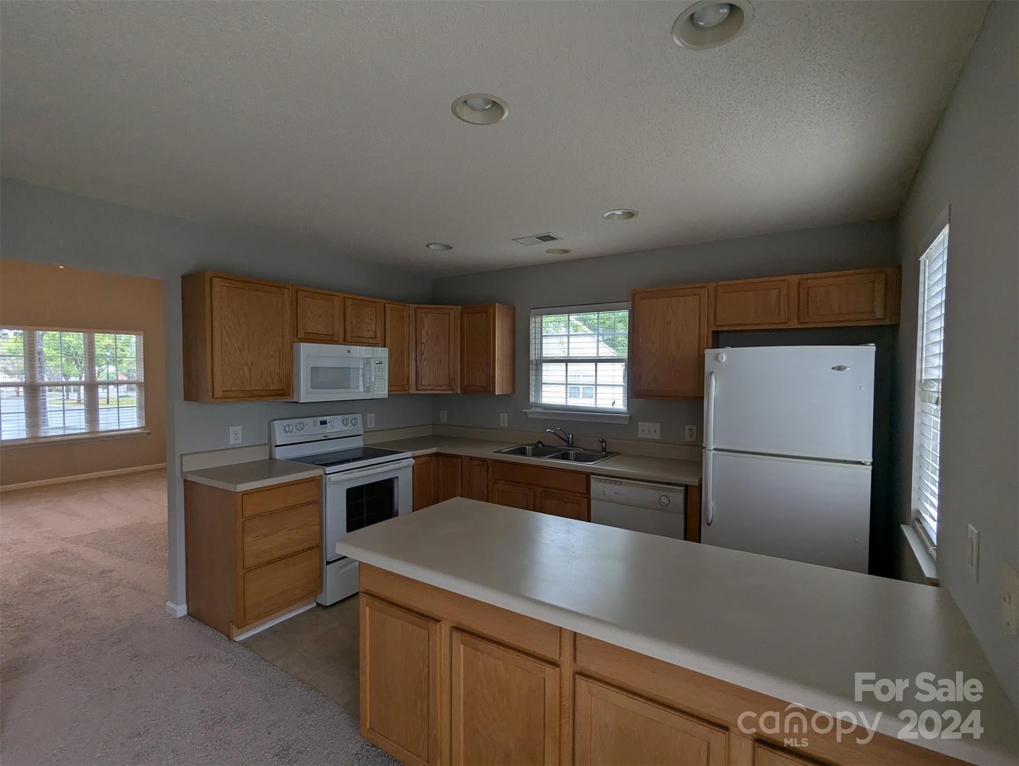 10568 Broken Branch Road Property Photo 4