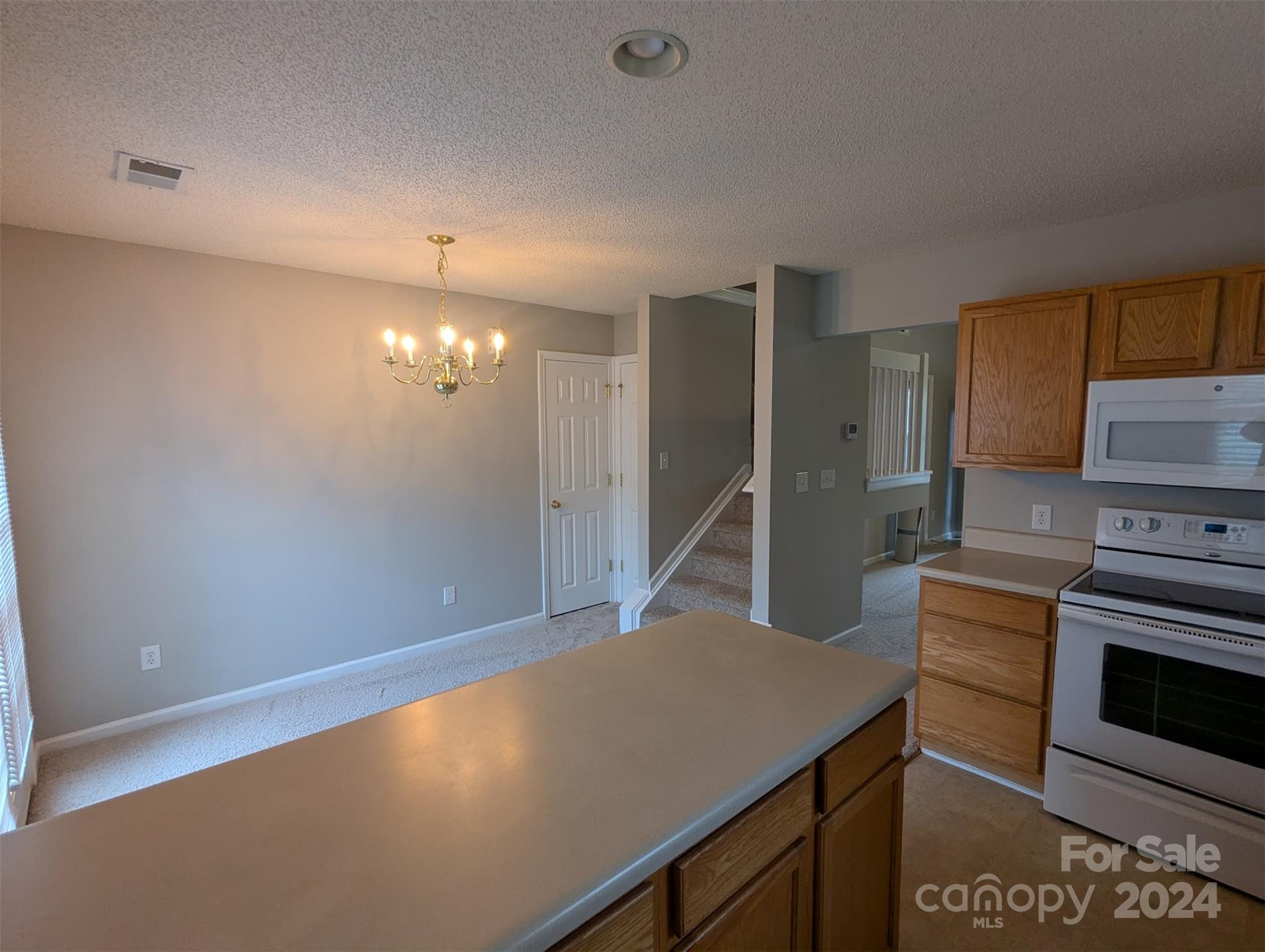 10568 Broken Branch Road Property Photo 5