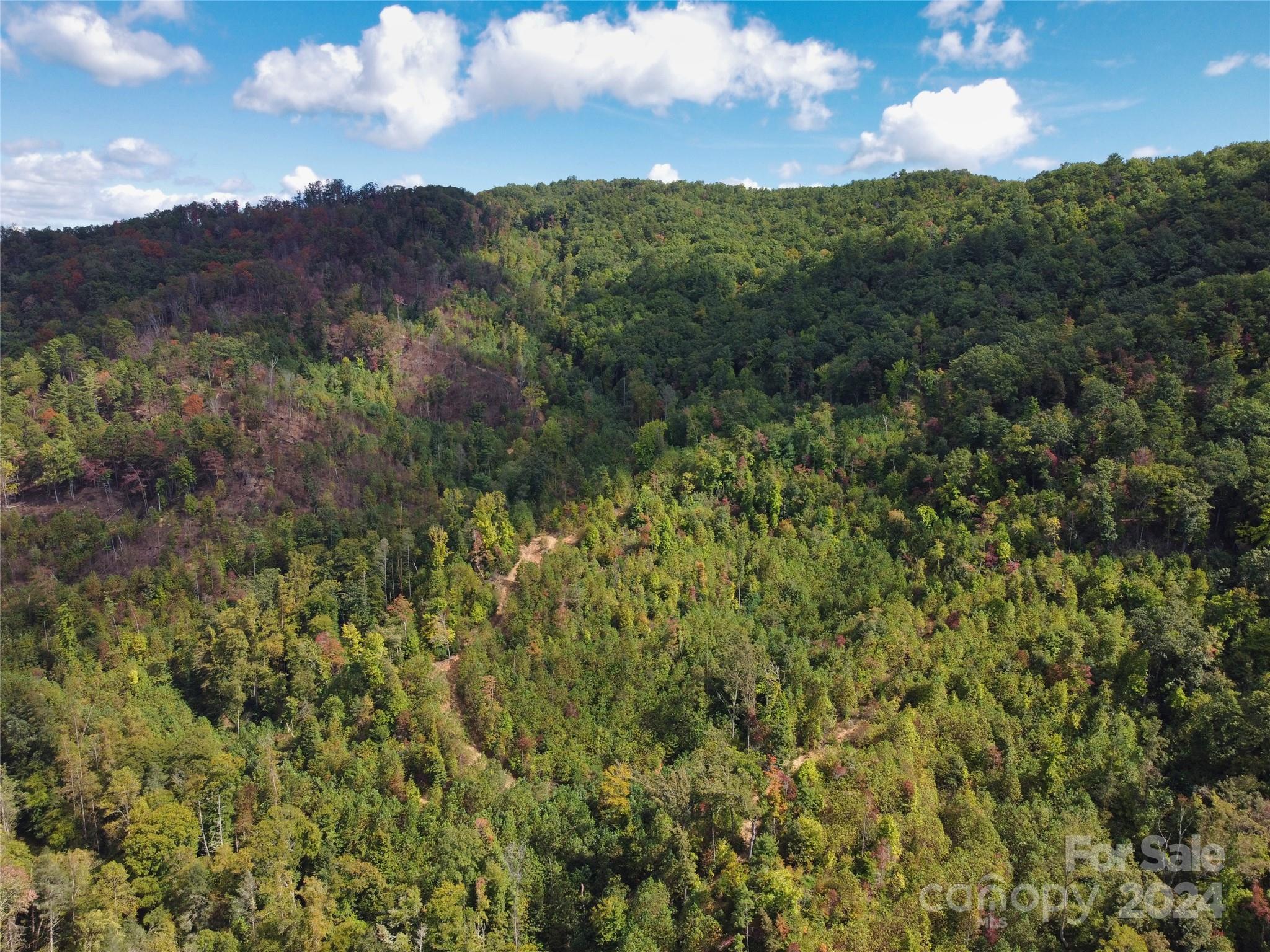 100 White Oak Road Property Photo 2