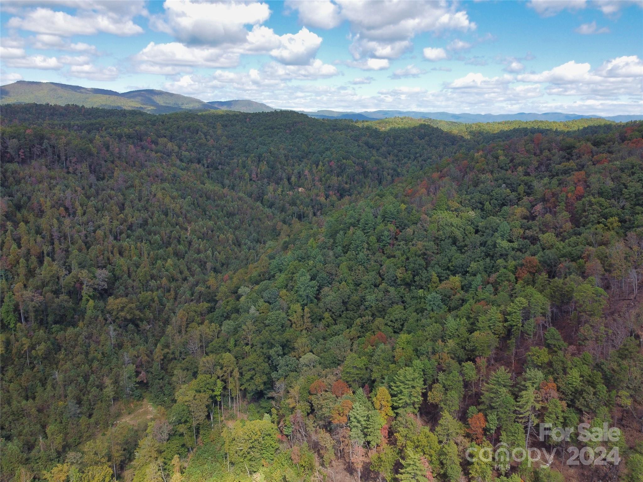 100 White Oak Road Property Photo 6
