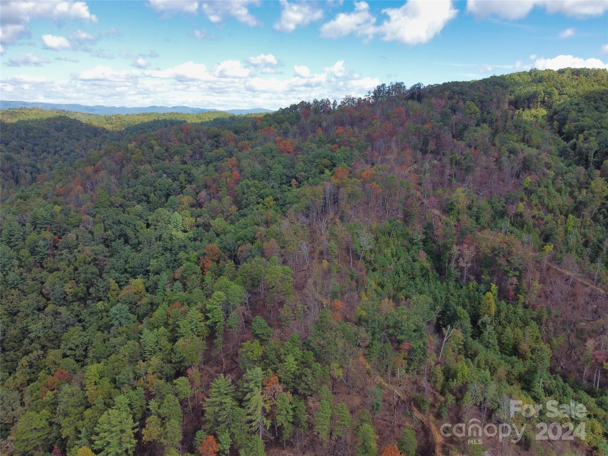 100 White Oak Road Property Photo 7