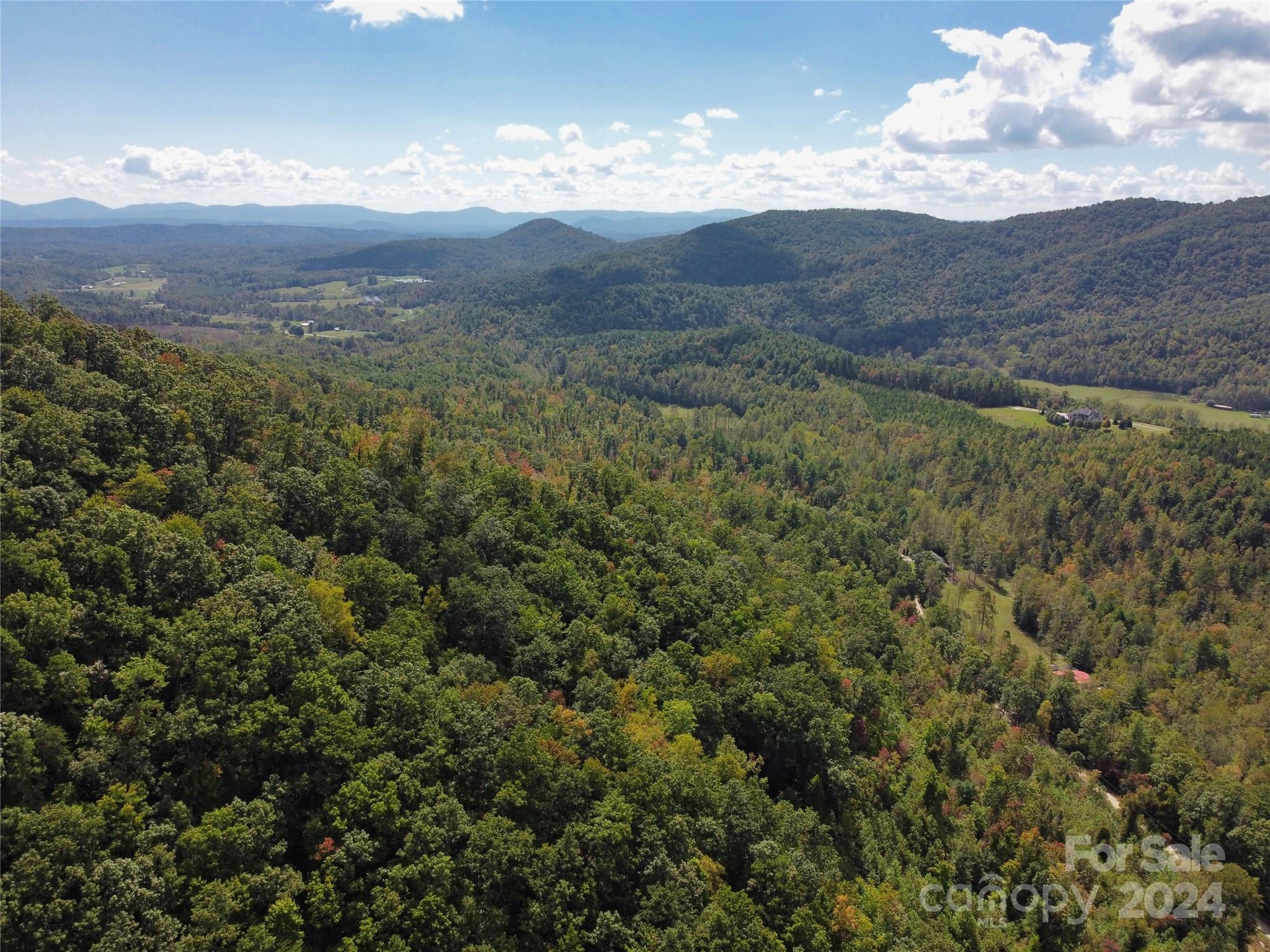 100 White Oak Road Property Photo 8