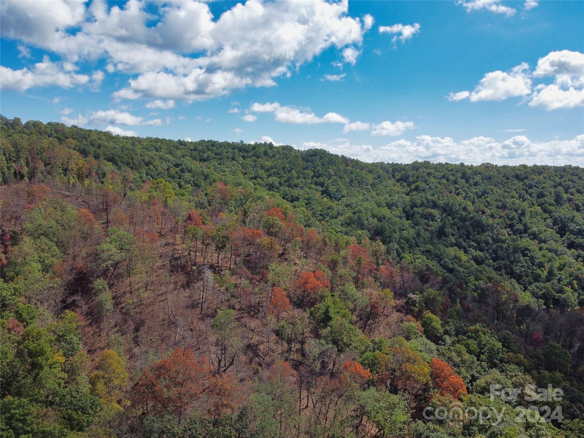 100 White Oak Road Property Photo 13