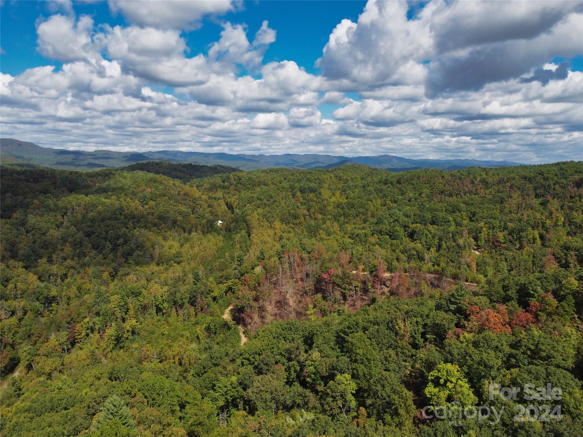 100 White Oak Road Property Photo 14