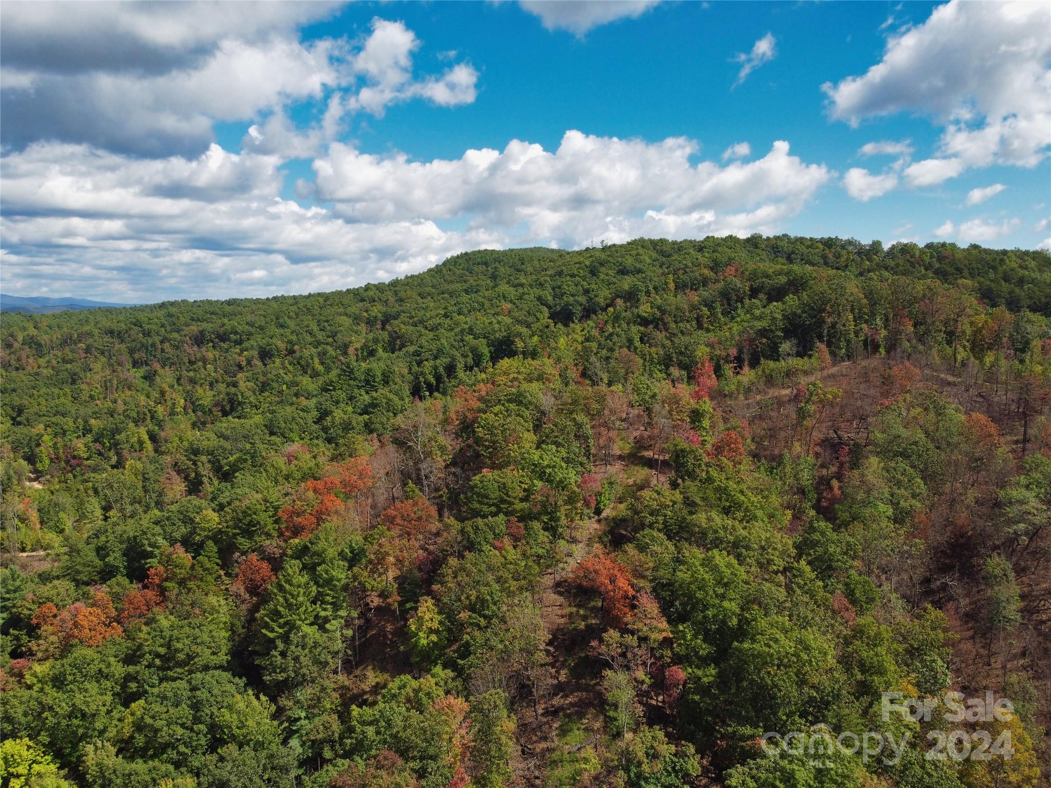100 White Oak Road Property Photo 16