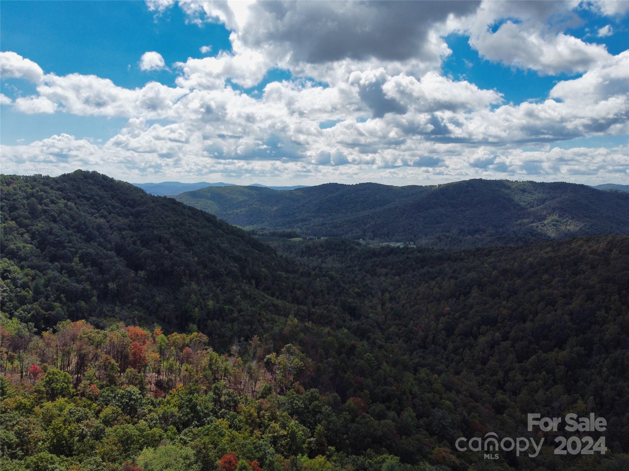 100 White Oak Road Property Photo 17
