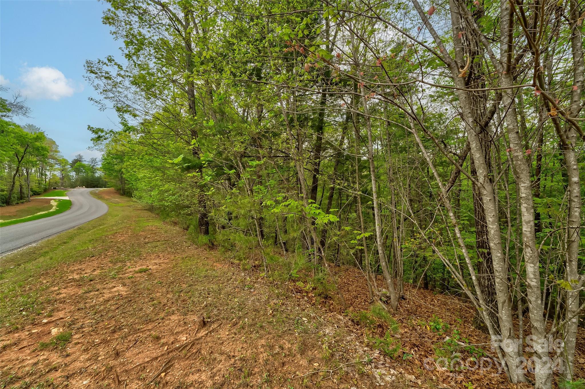 619 High Trail Drive Property Photo 5