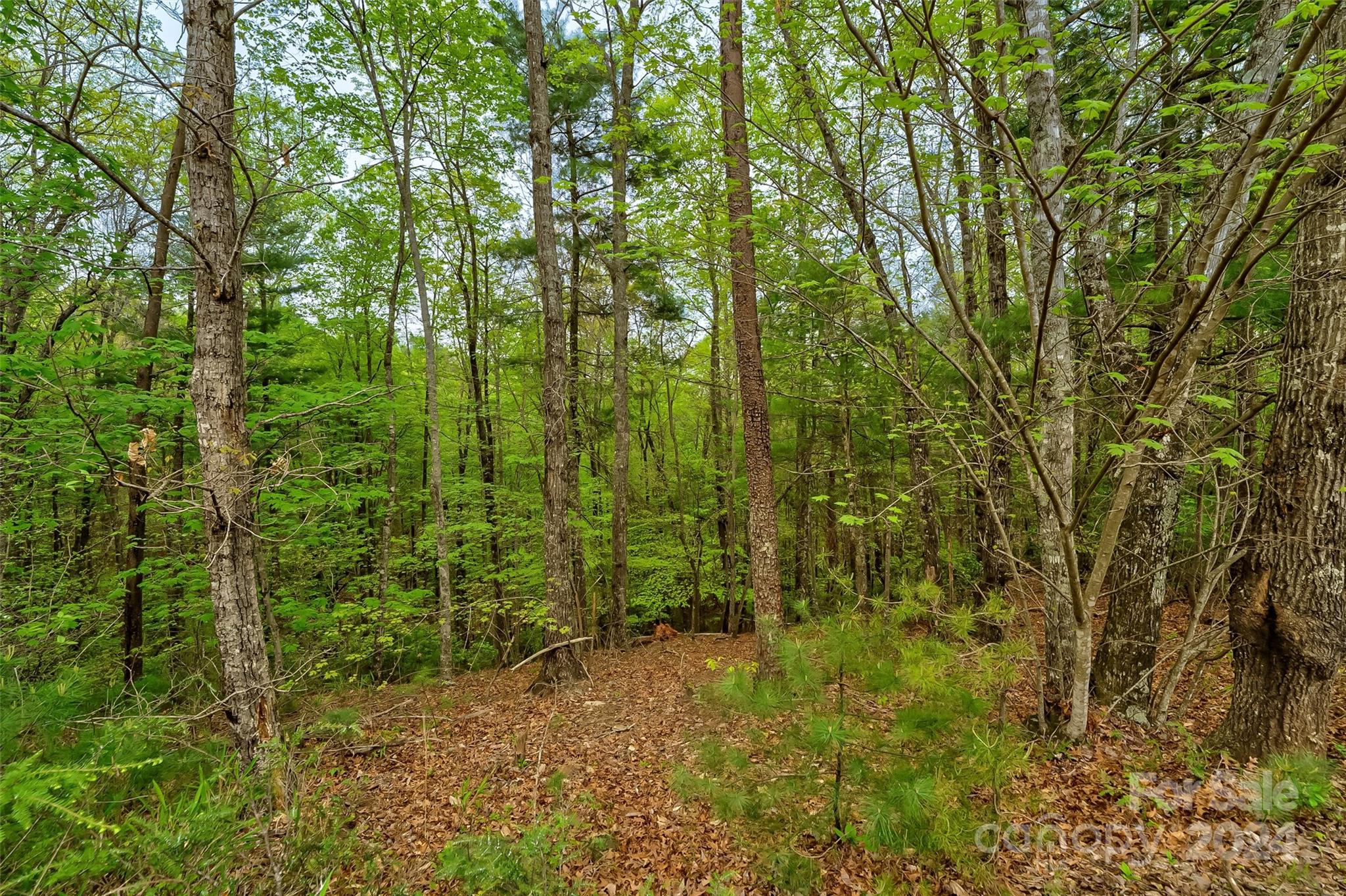 619 High Trail Drive Property Photo 6